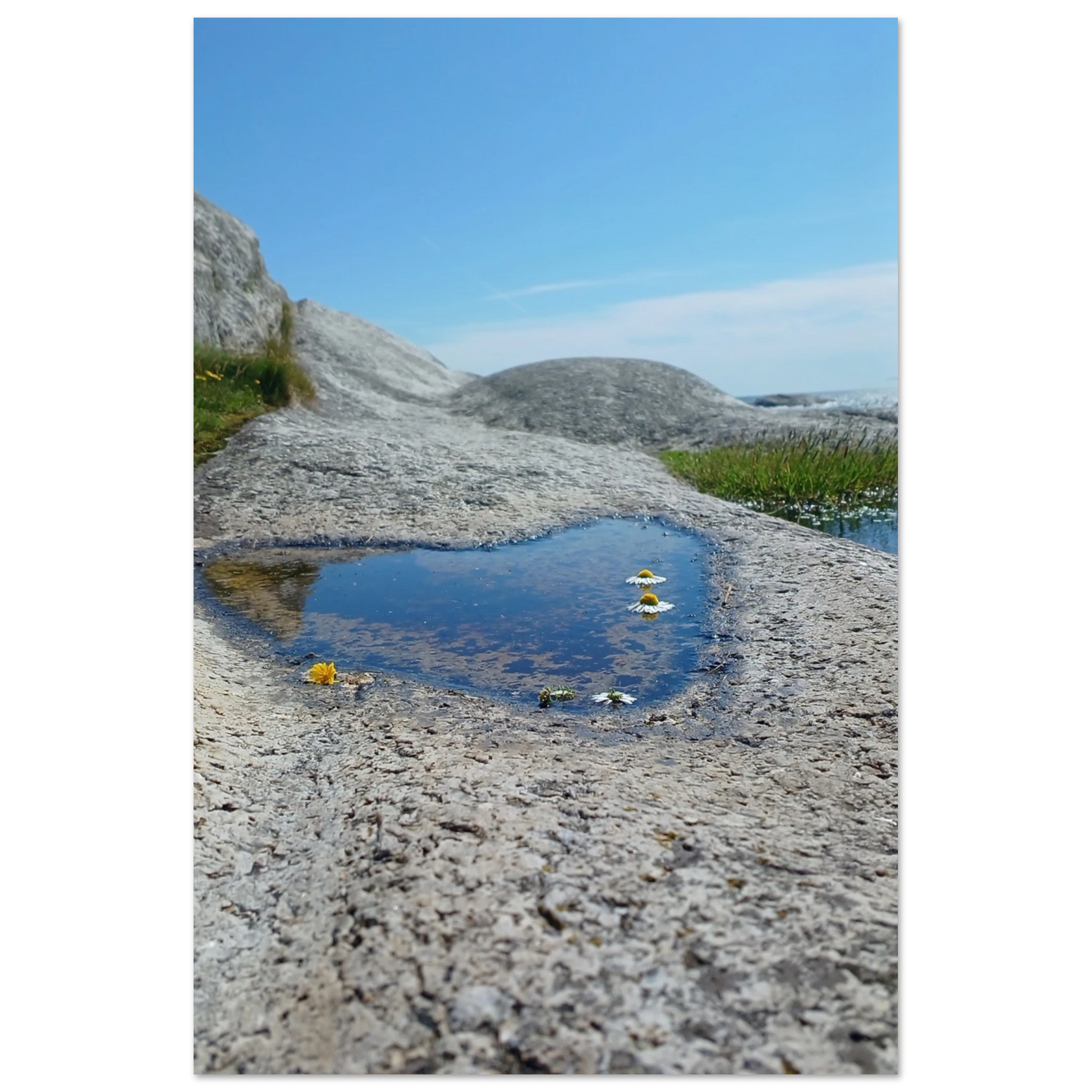 5f9b7508-7f54-4bf5-9630-787404234514