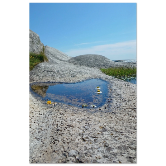 5f9b7508-7f54-4bf5-9630-787404234514