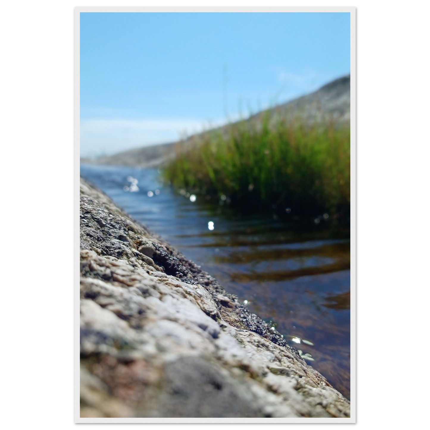 61c4a45e-2b7f-480f-bf3a-22bb8325511b