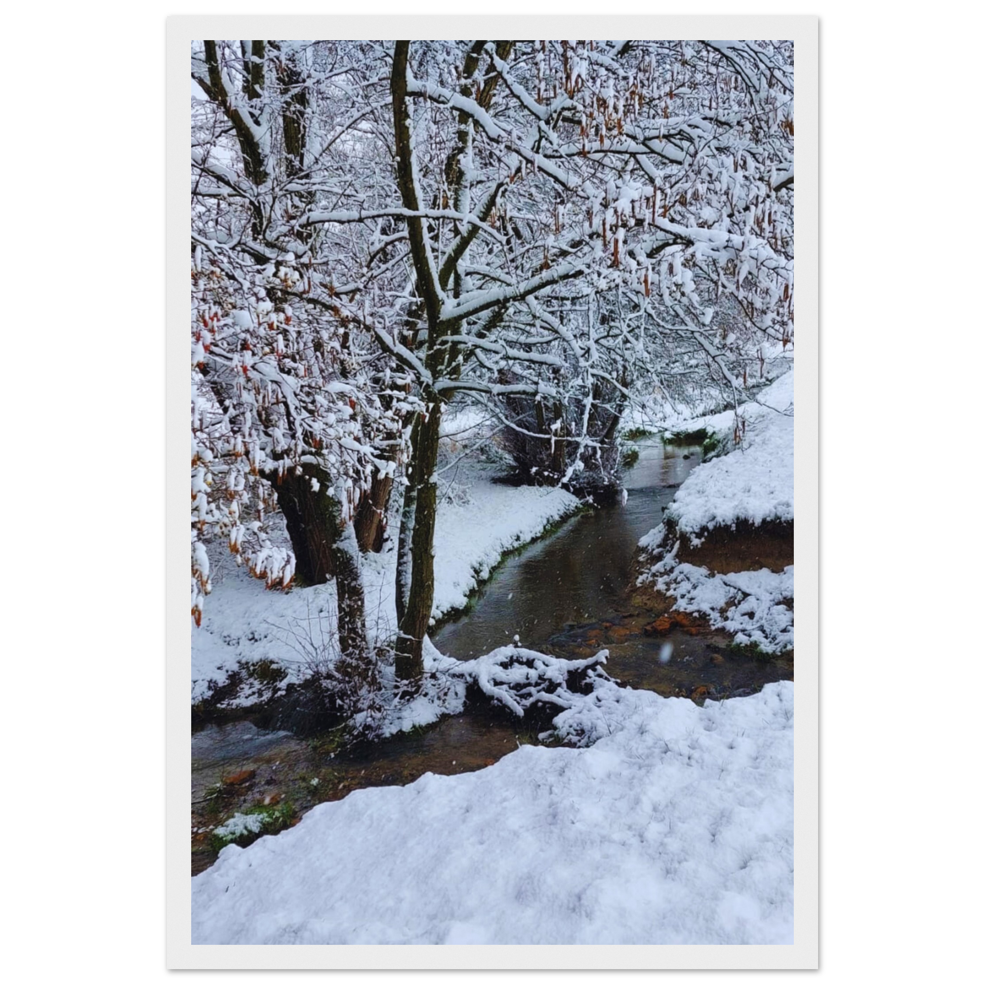 6236e1a7-b6bc-4b6c-a612-a5e8fc7c606e