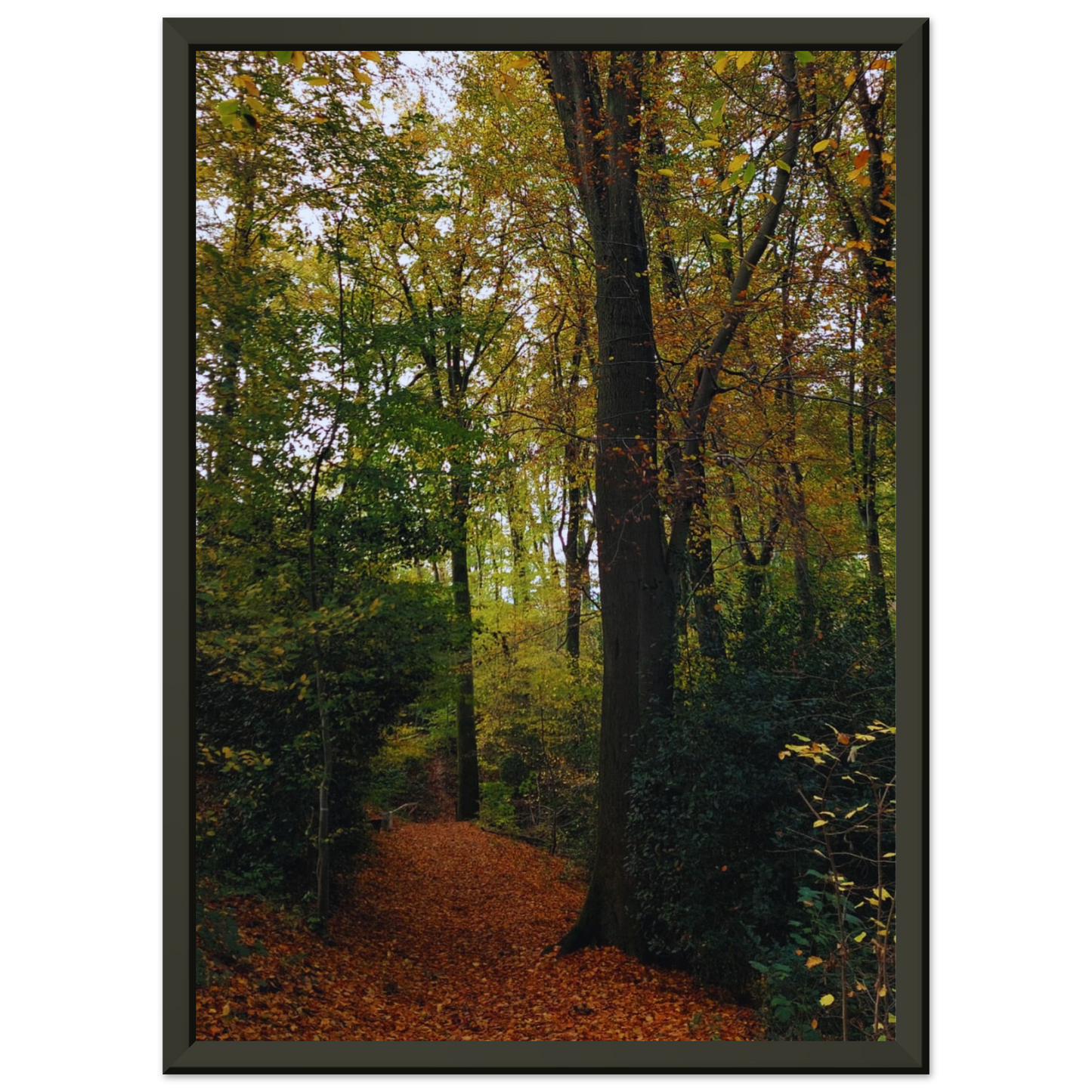 6405a051-067c-4240-8a8e-973cc5872cd5