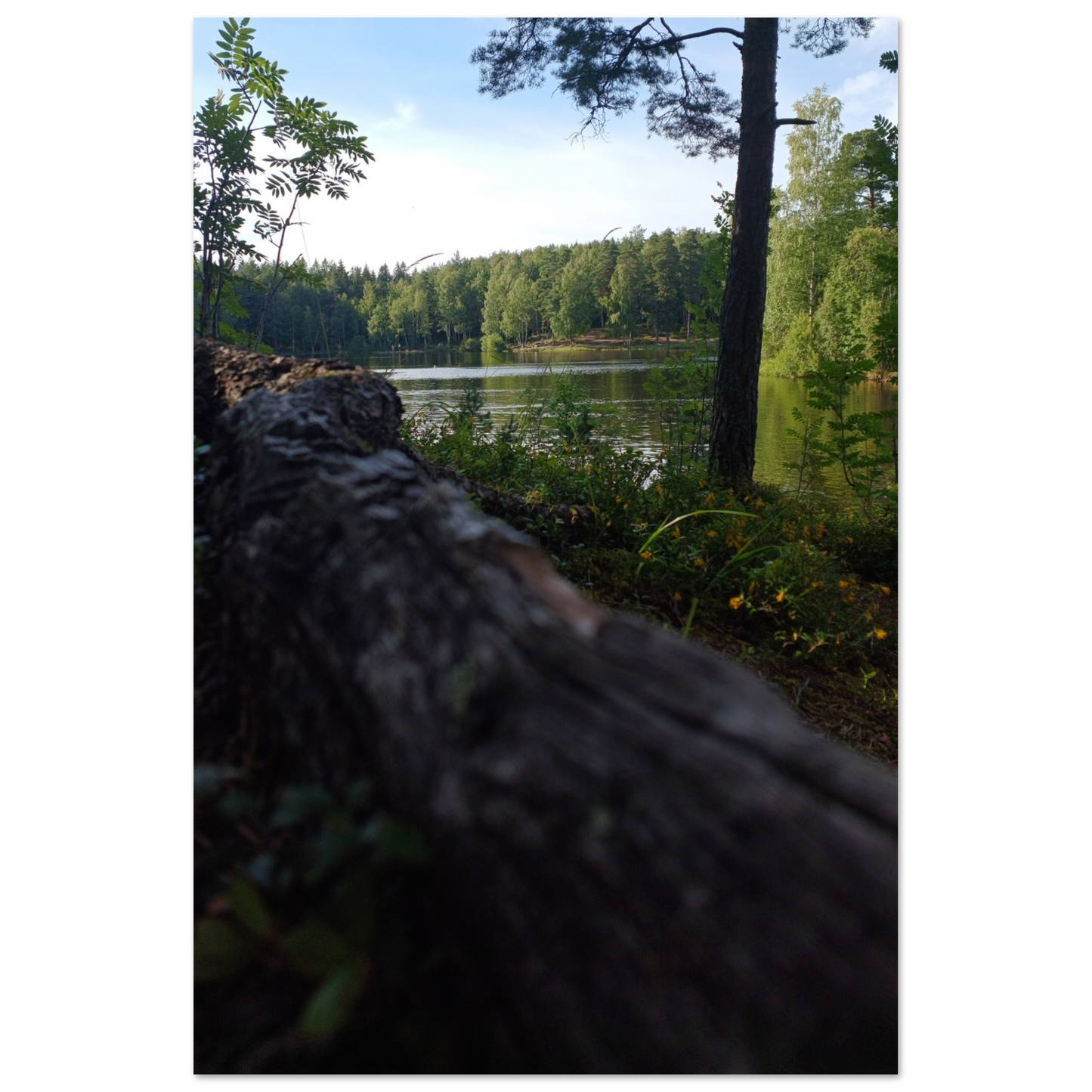 6b20d371-7325-446d-92b3-10da337a2c0a