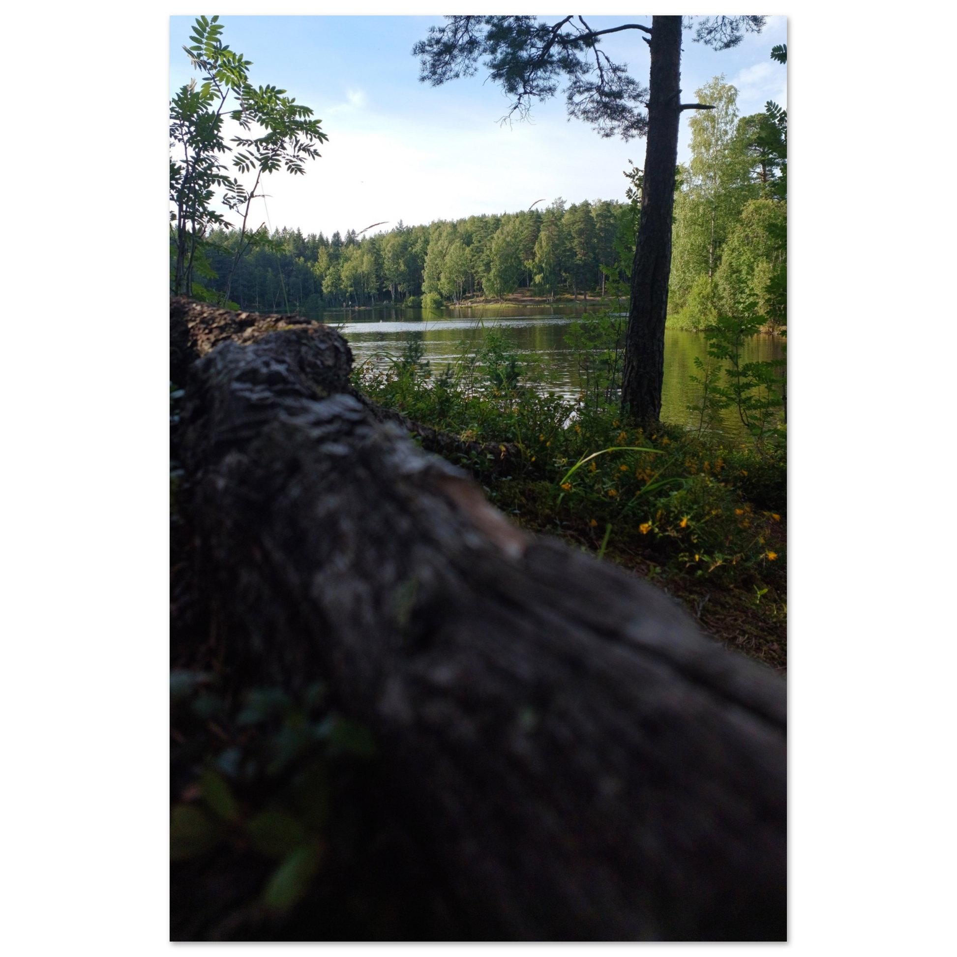 6b20d371-7325-446d-92b3-10da337a2c0a