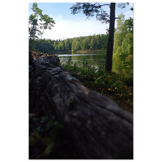 6b20d371-7325-446d-92b3-10da337a2c0a