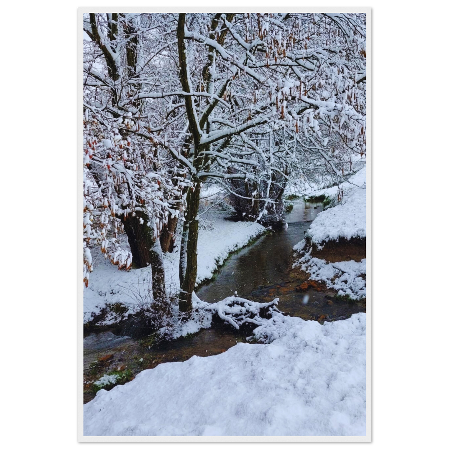 6b571cd5-5ae5-4e0c-90ce-2746e09d1157