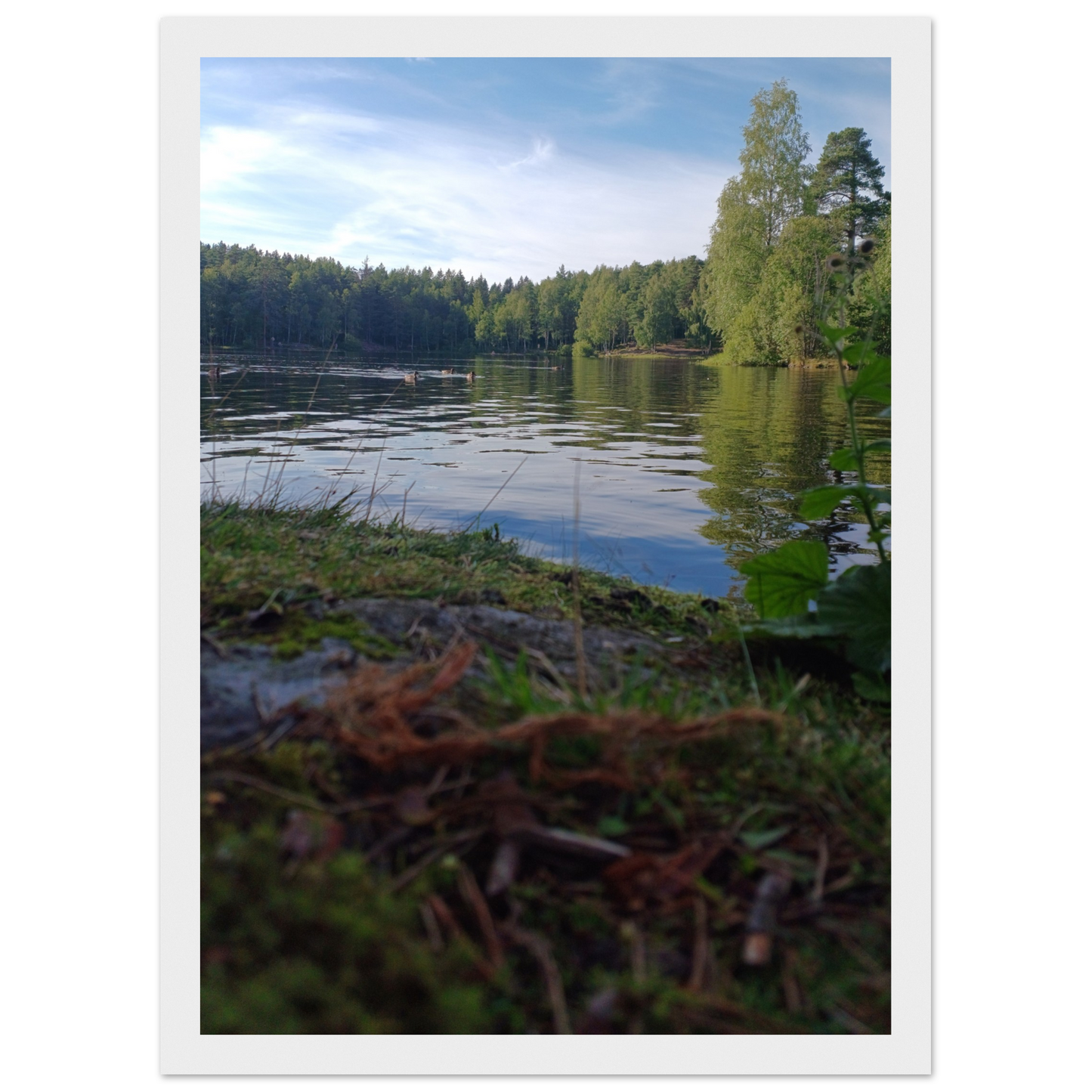 6e470cec-ac51-4026-a387-b1c45bae15aa