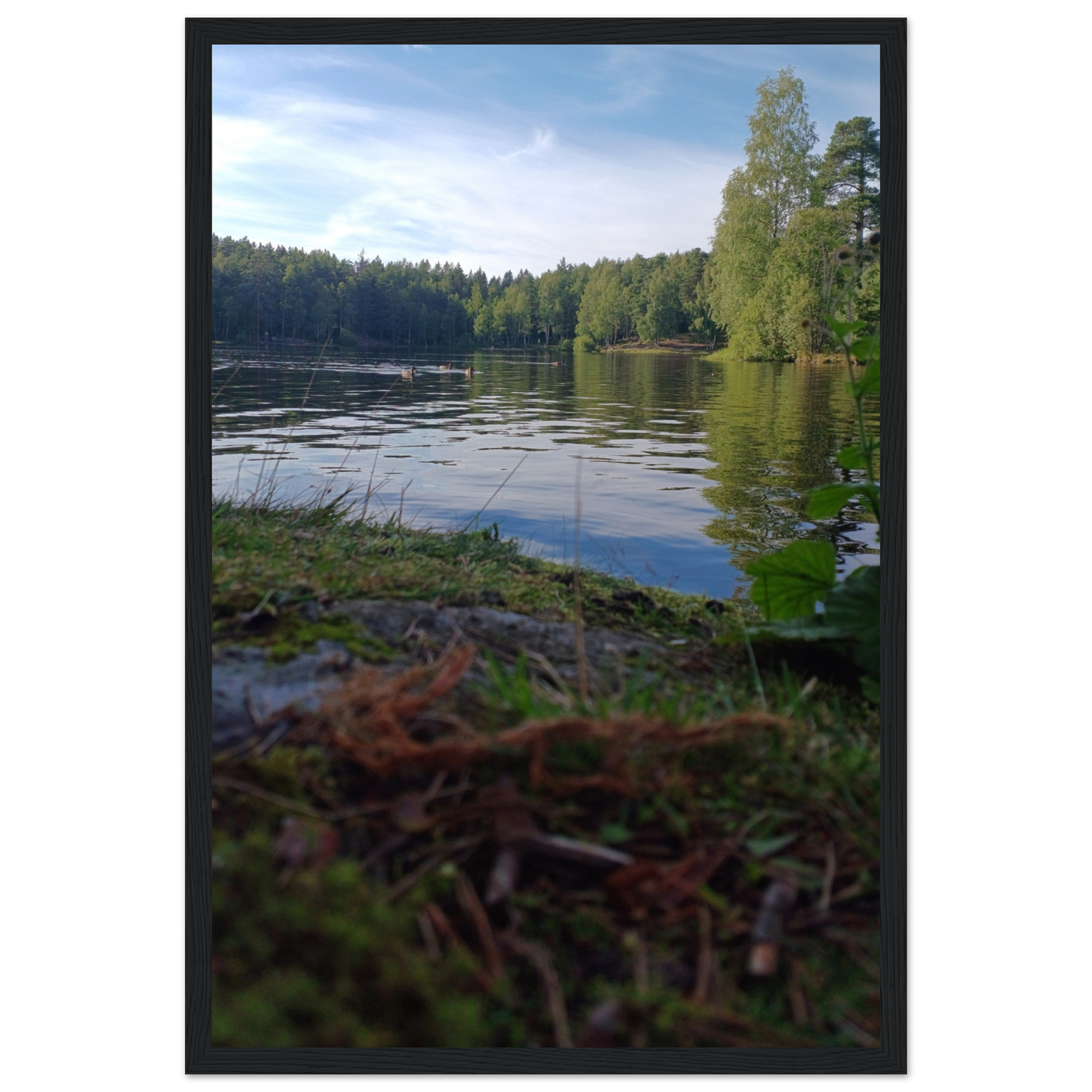 6e5c080f-bc56-4fb1-80ac-ff16b9562535