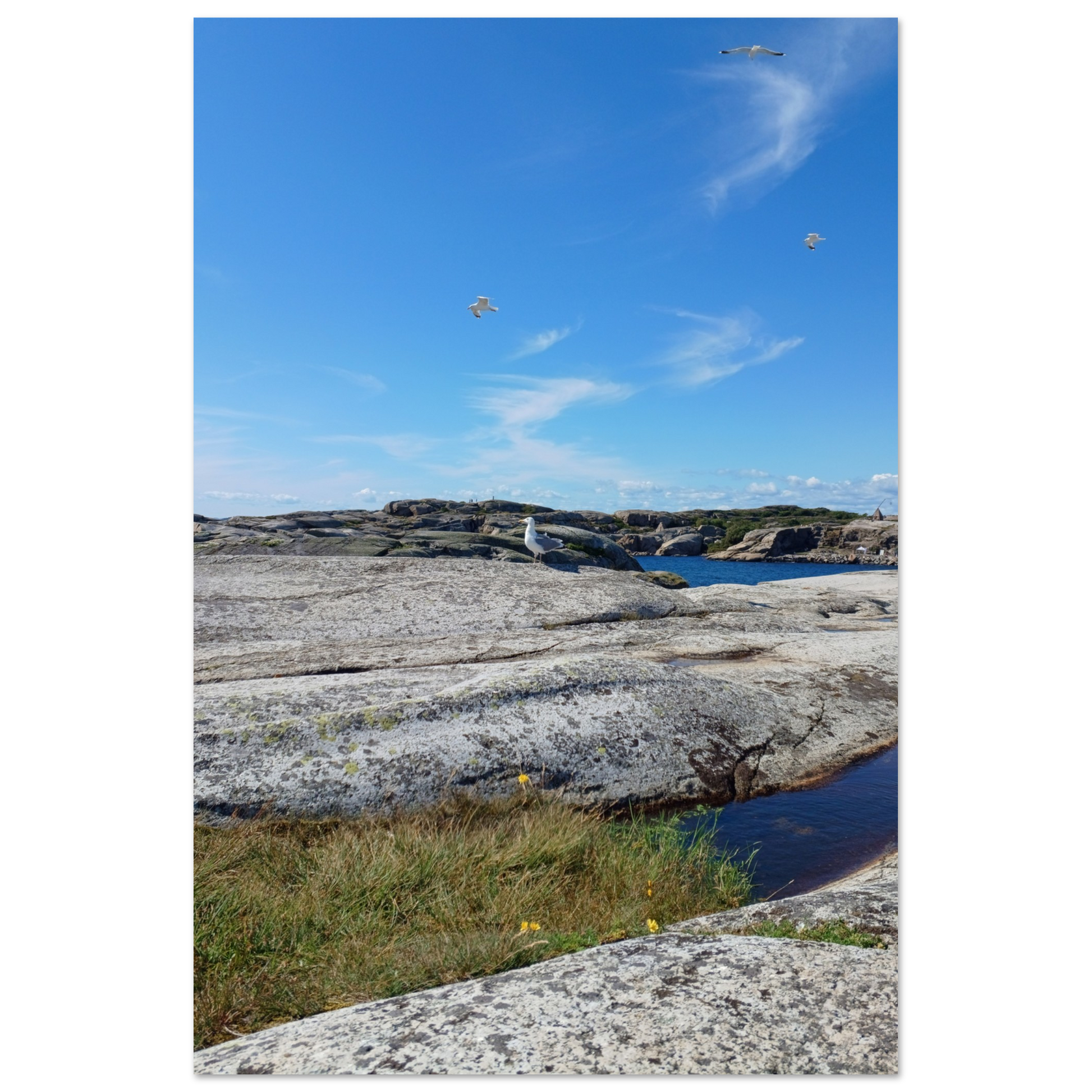 797fcd7d-e805-4791-a790-f31dbcdbba99