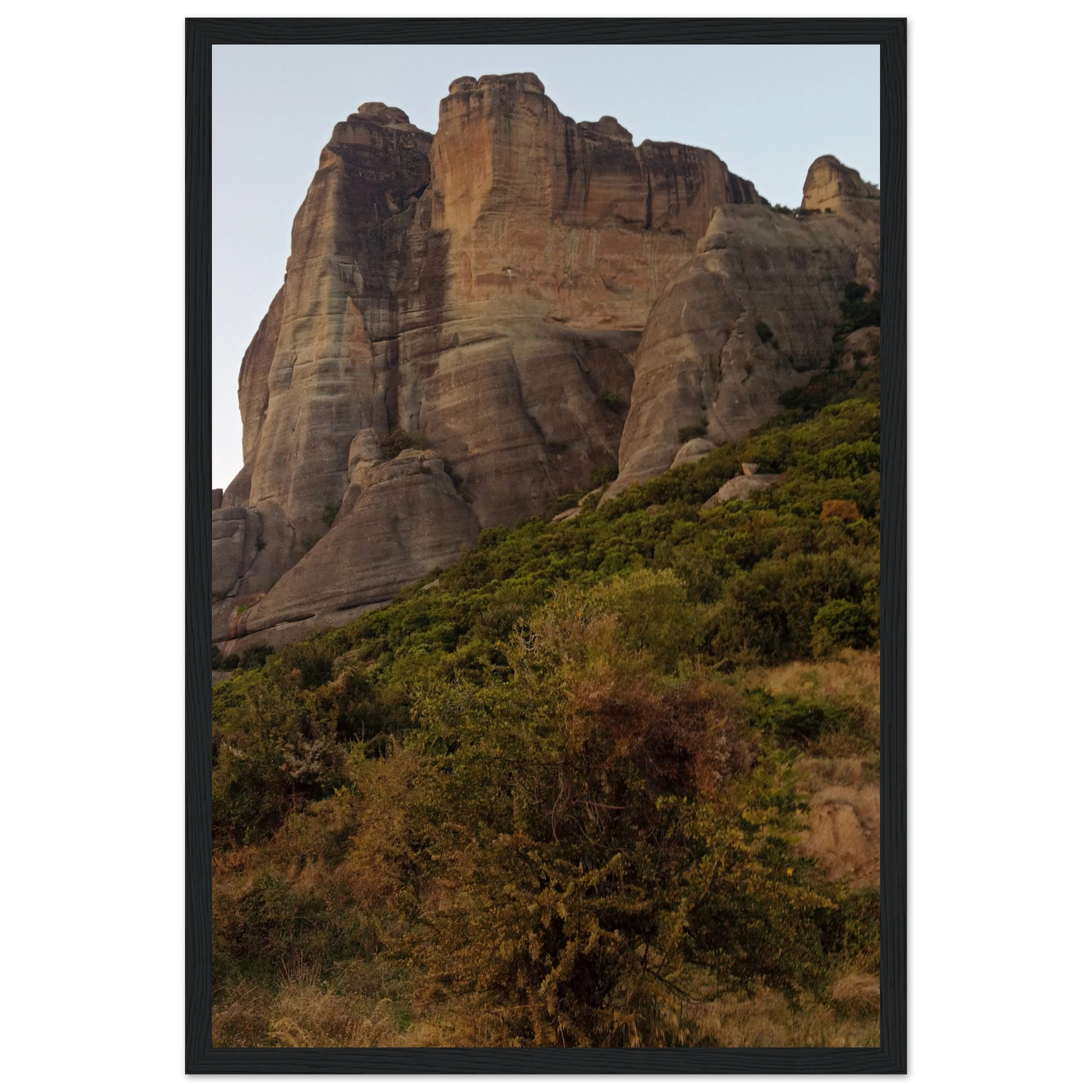 7a3e3d21-d31c-44b4-8f67-f55e9d9a6920