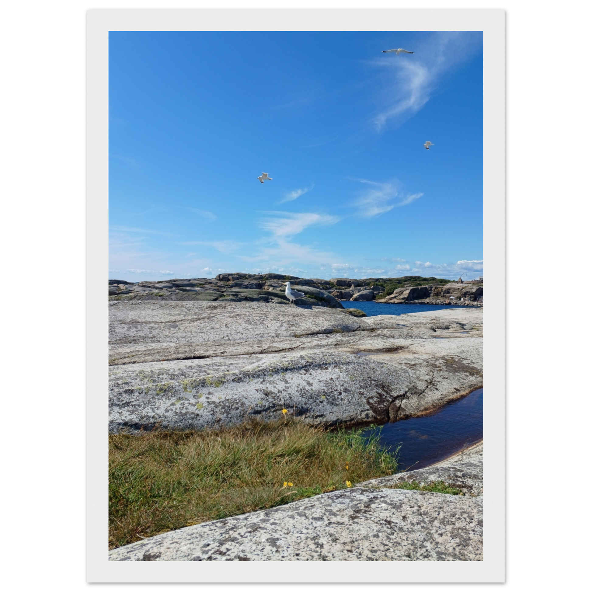 81bacfa8-eaf7-4812-9959-bae5171b9d5f