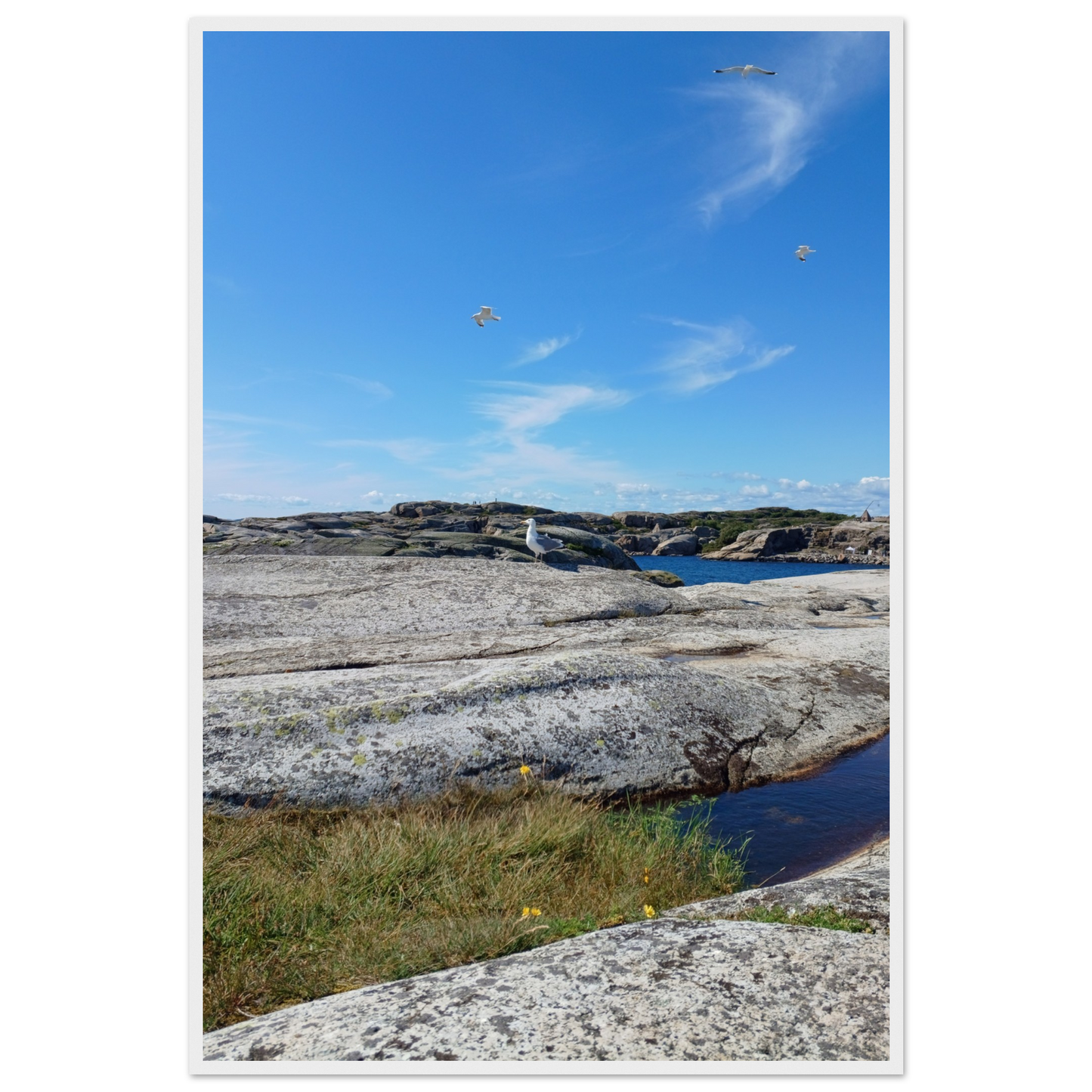 8299c0f4-d60a-45f1-9765-2e2a9ba82bd0