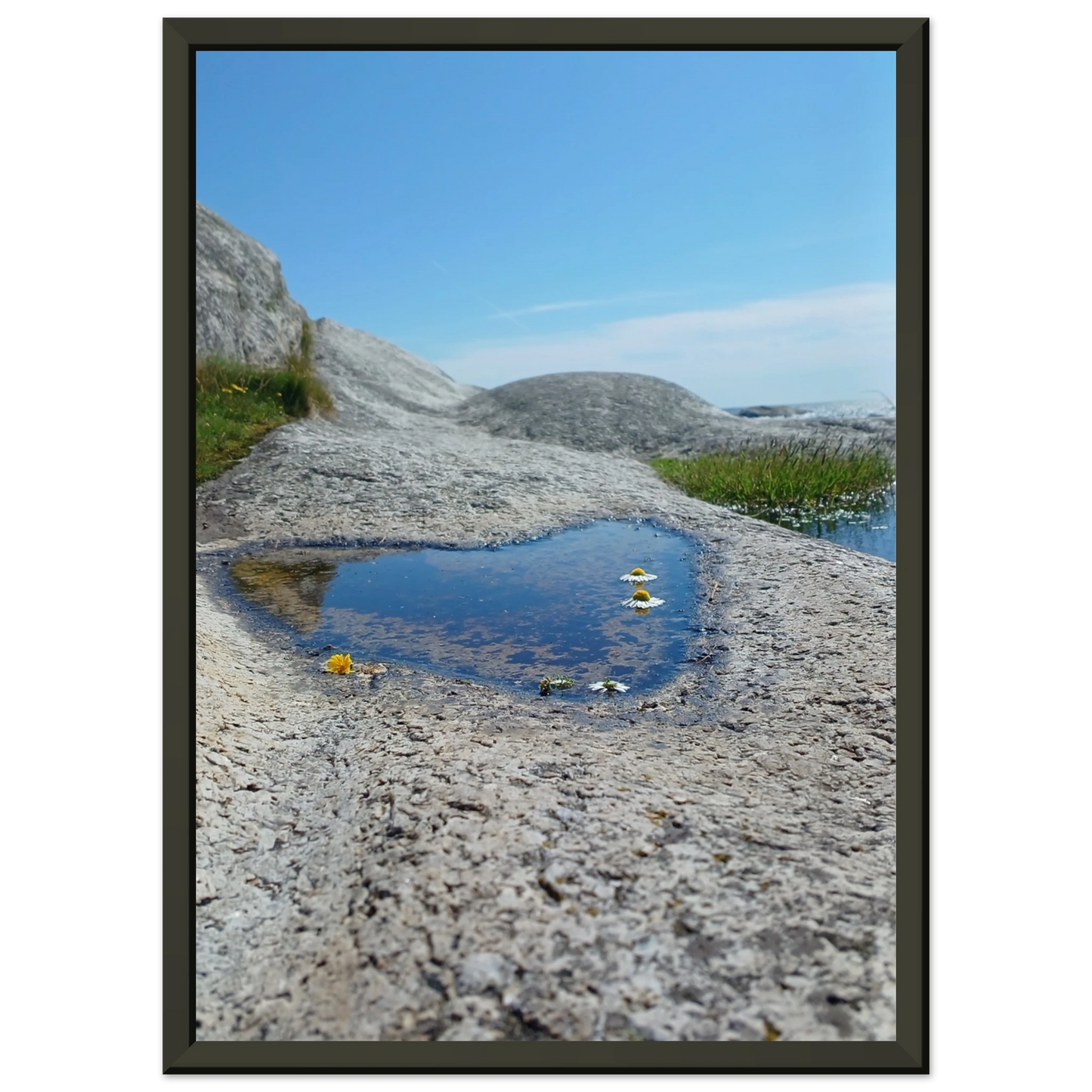 8340dd33-d997-4a09-a1b3-b515aaa6f60e