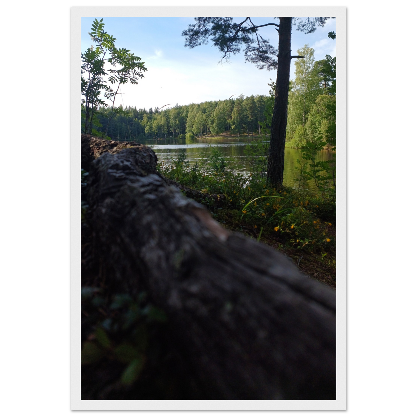 83446183-53d9-4bb2-8381-6554f15b42bd