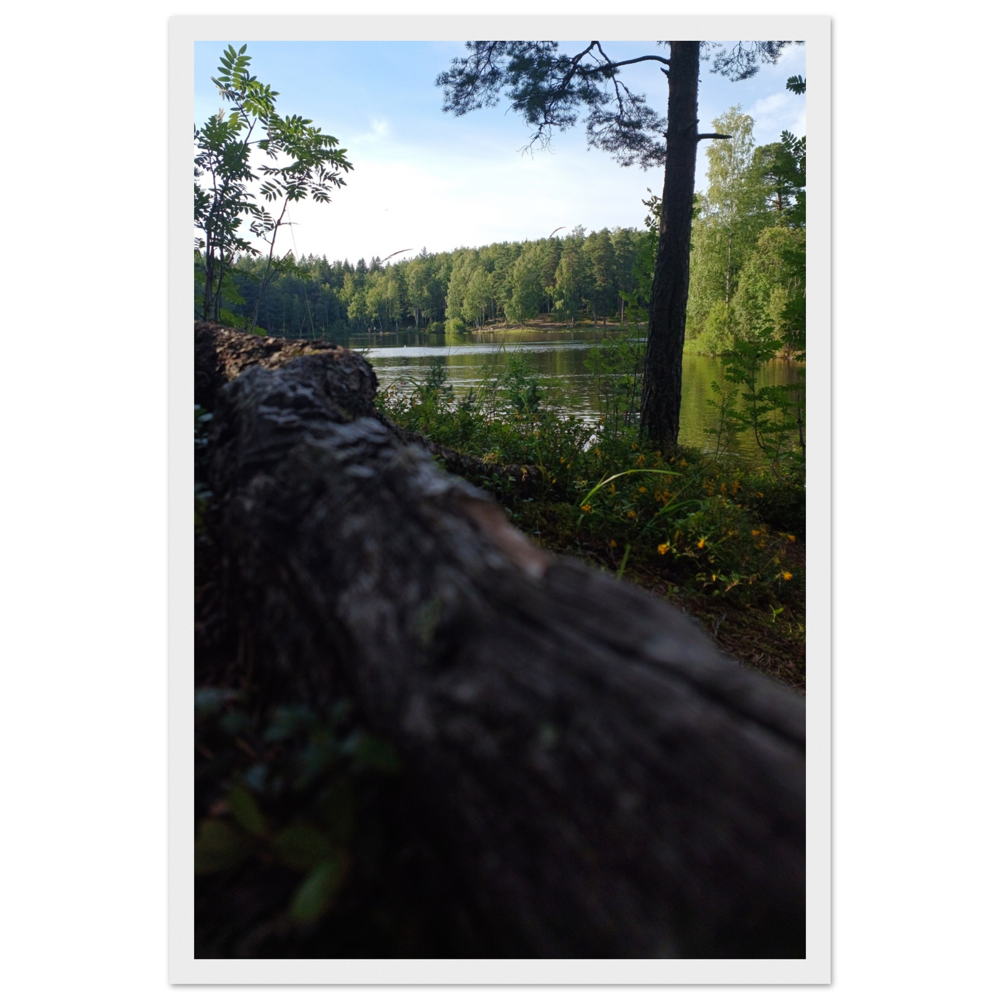 83446183-53d9-4bb2-8381-6554f15b42bd