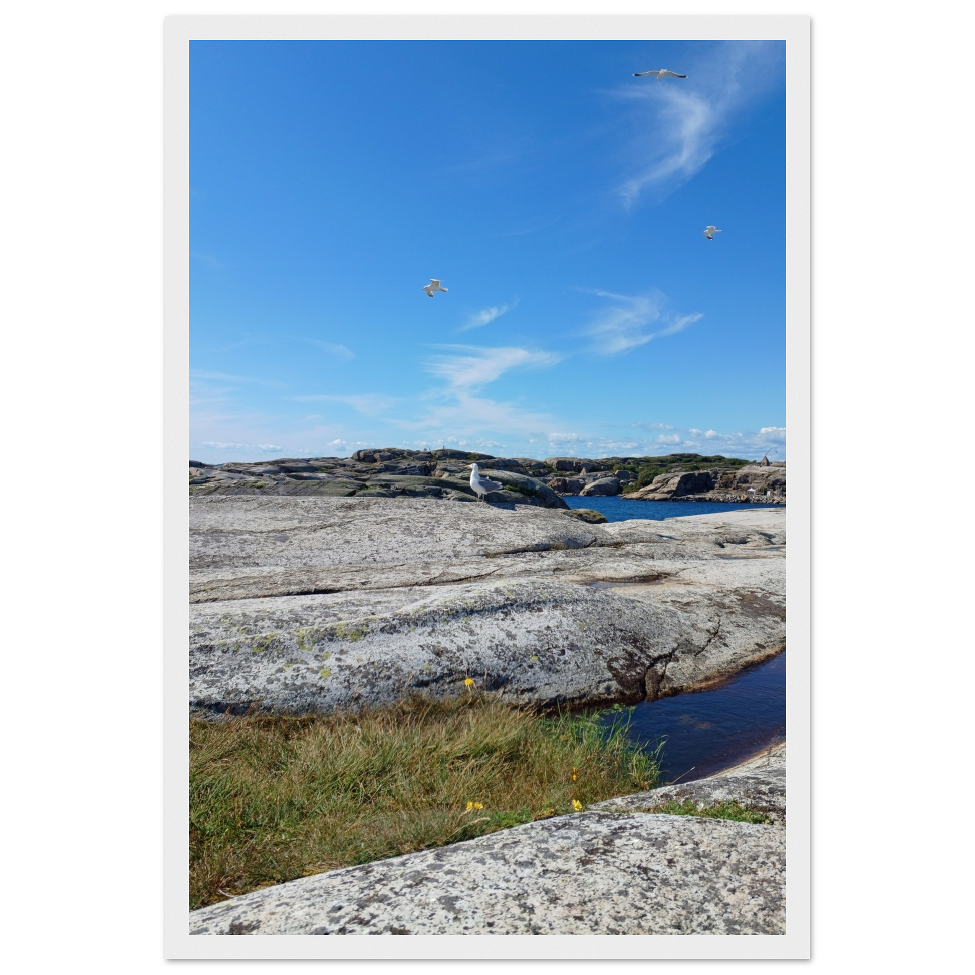 852d18aa-9c44-4212-a1a1-c565026ec4e7