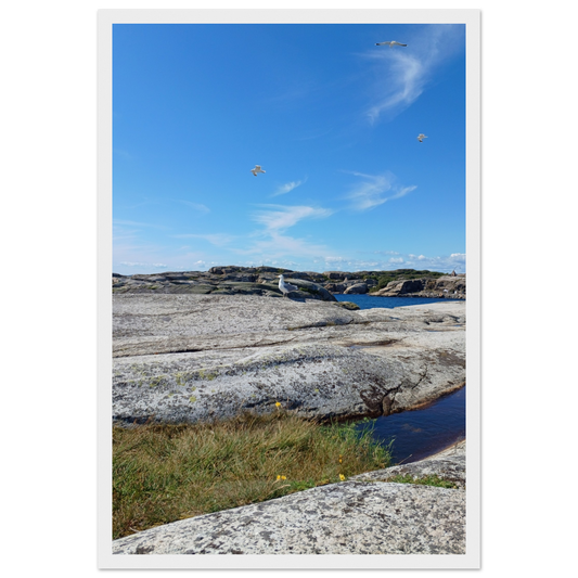 852d18aa-9c44-4212-a1a1-c565026ec4e7