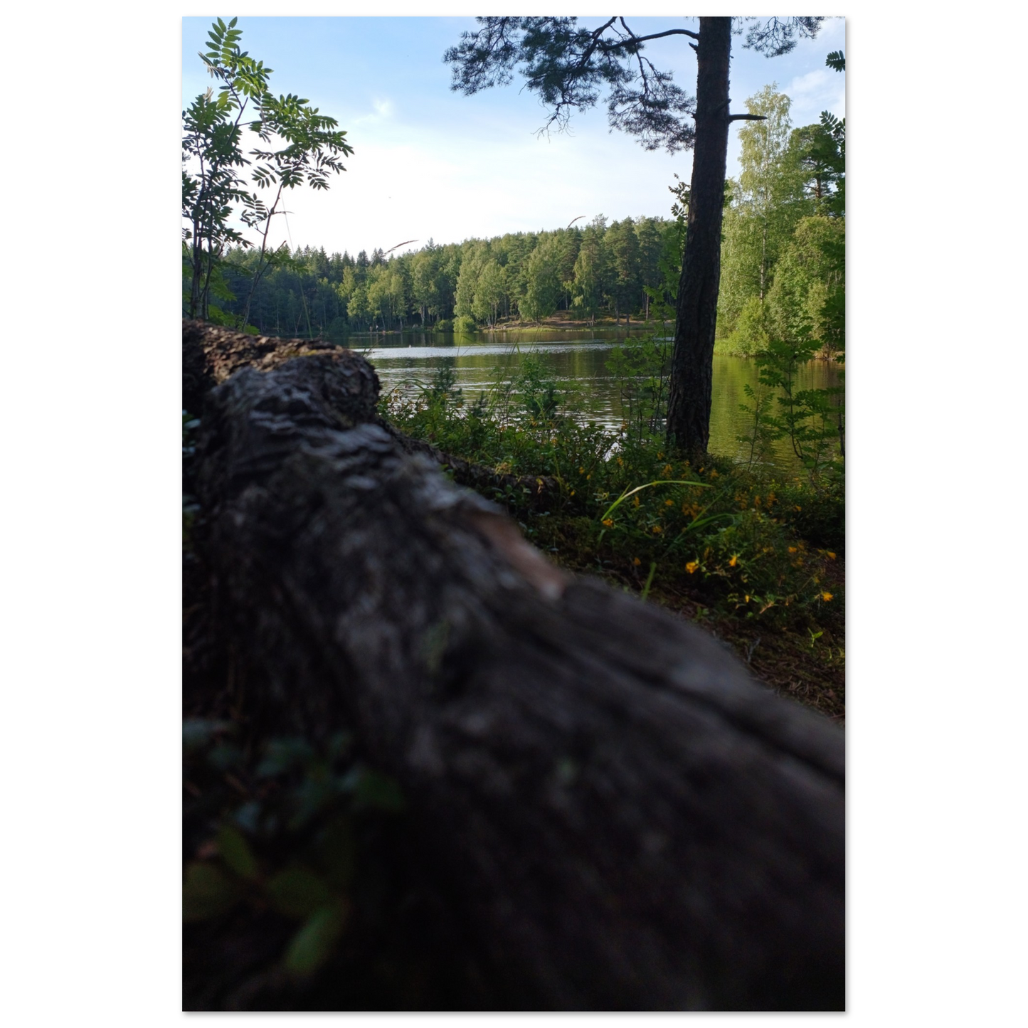 8c75f34a-c6e1-4e8b-8d04-7092b1b946b0