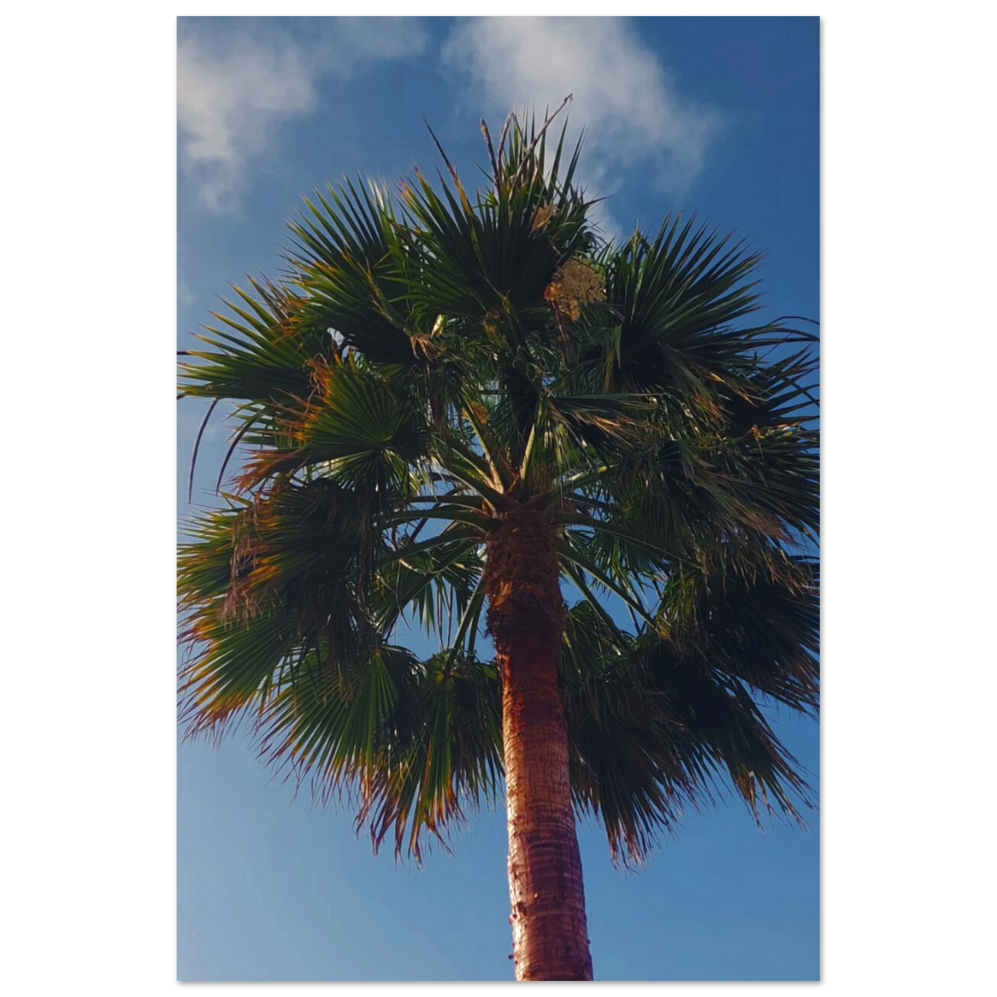 8fb89431-8d59-48bd-830a-bc9fe61d9660