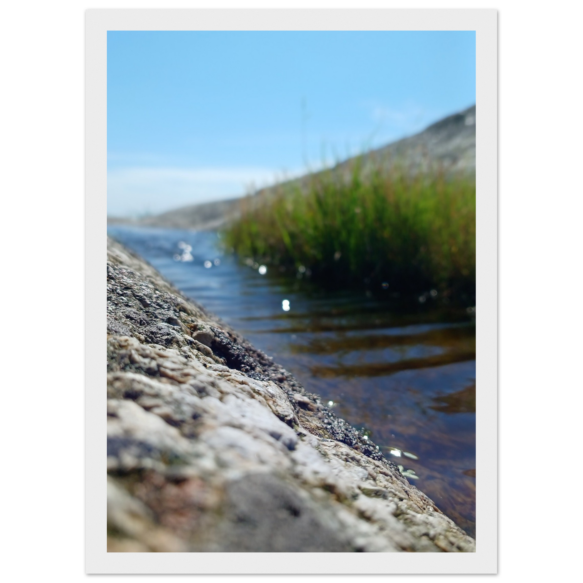 90c7a1c8-984e-49fa-a3ed-ec540015f242