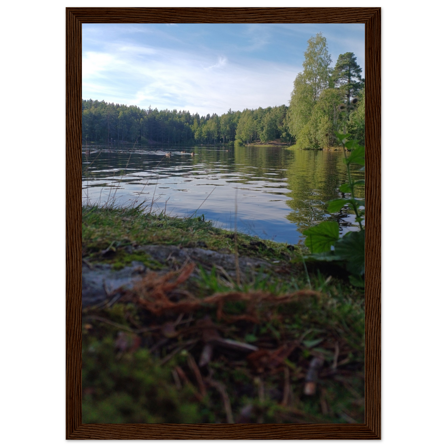 9364bdf7-1619-46eb-ae06-2da8fed55d94