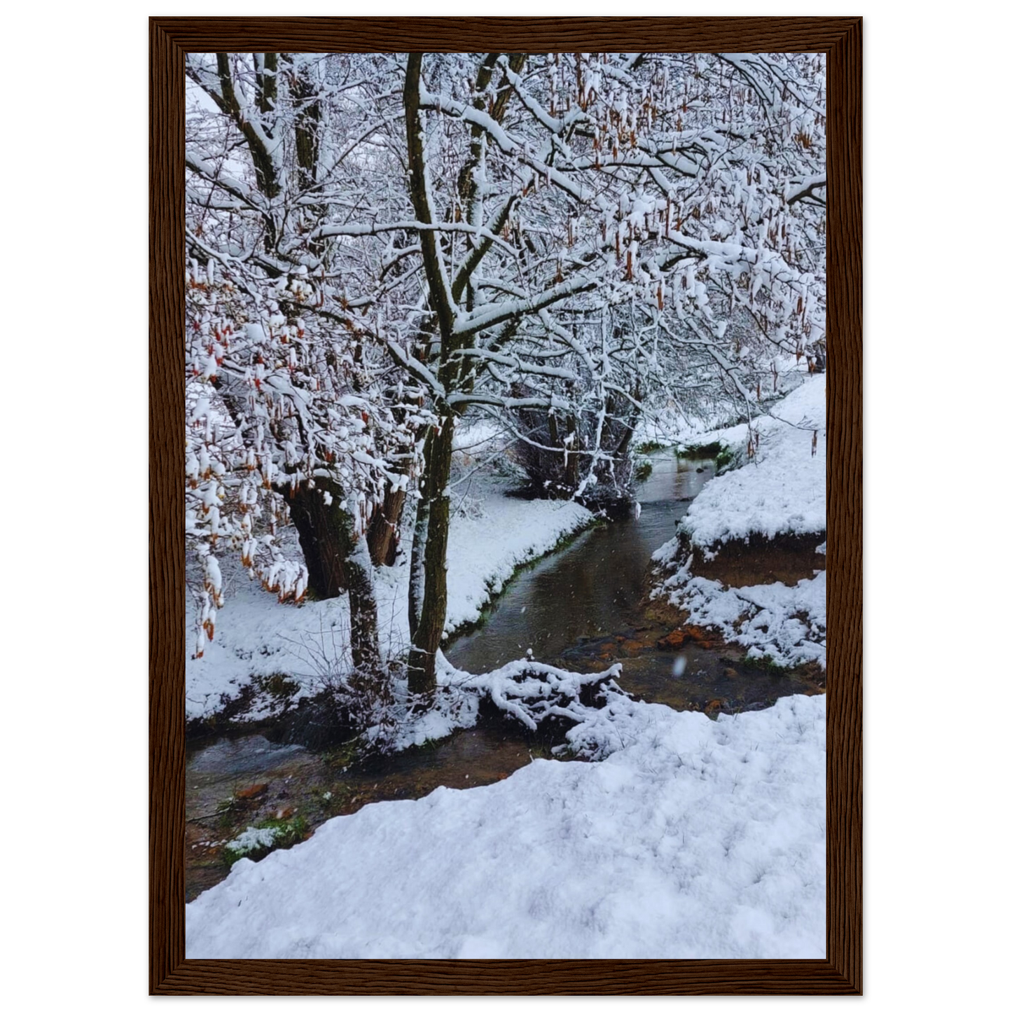 97204526-07ba-4cb9-9111-96e438556af5