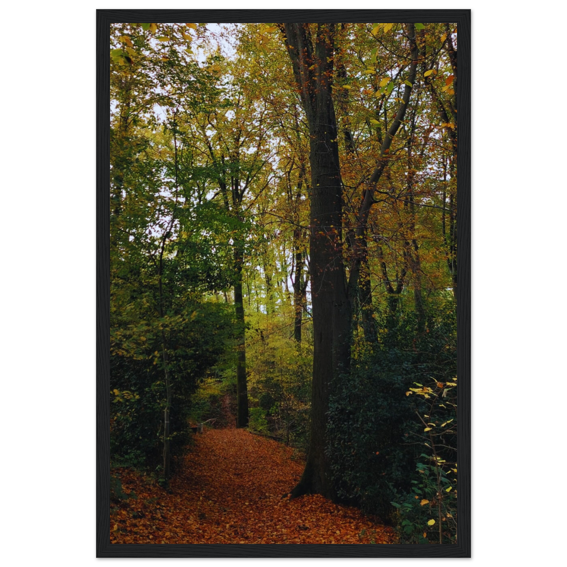 98424b8b-cd7f-4723-87c4-b66b3a42f359