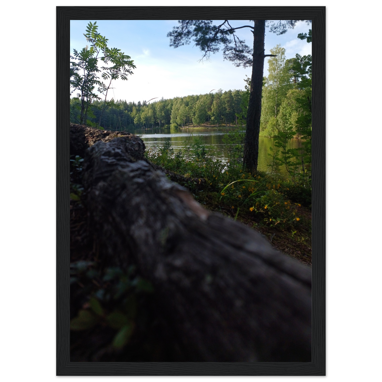 9afaa305-cfce-4abe-9c8e-bdf07500c97b