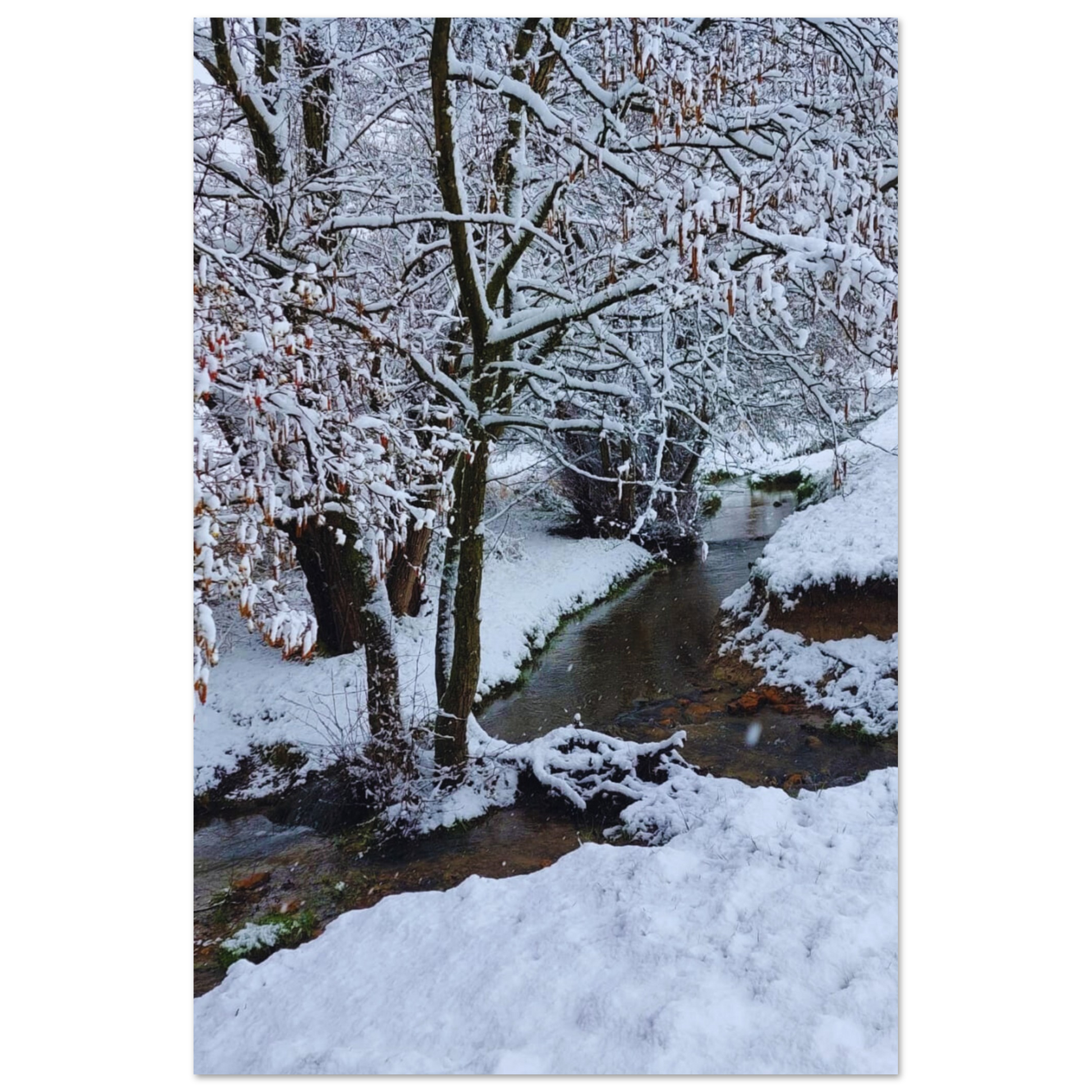 9c81d531-6823-474f-b2f9-c97b17430916