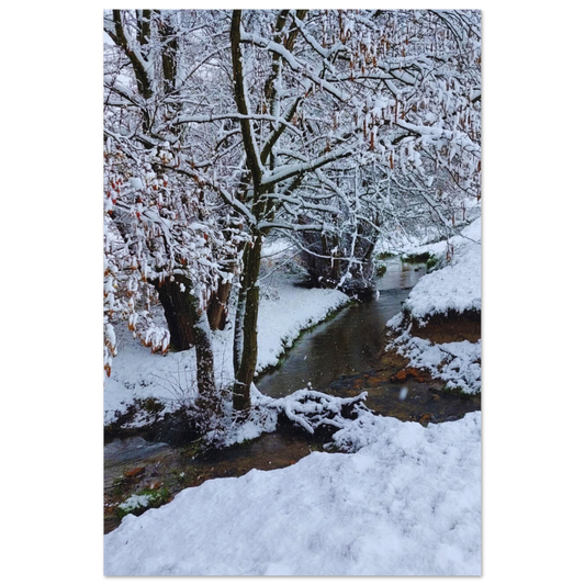 9c81d531-6823-474f-b2f9-c97b17430916