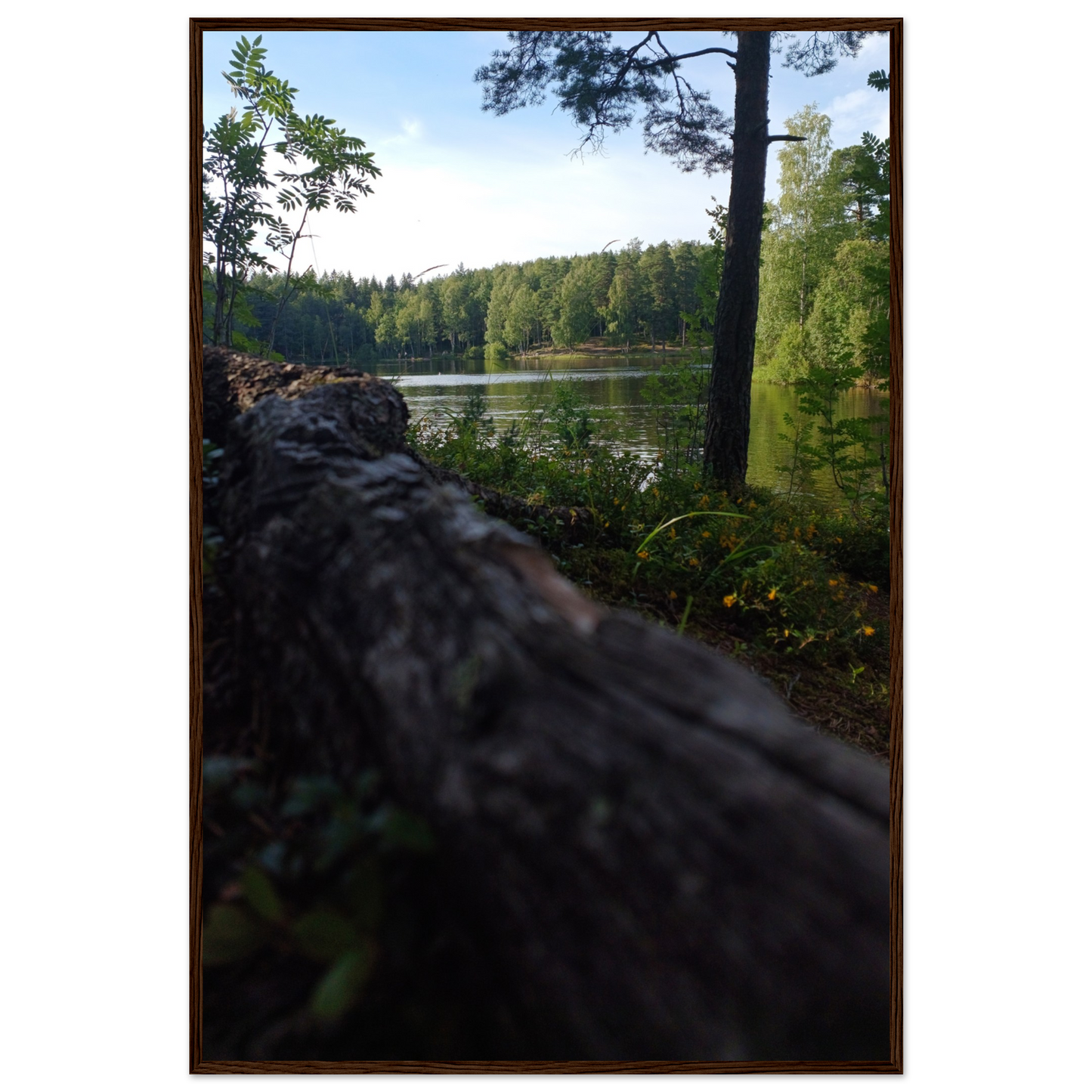 9d7e5b04-0f72-4bd1-9866-6ef9d2adc971