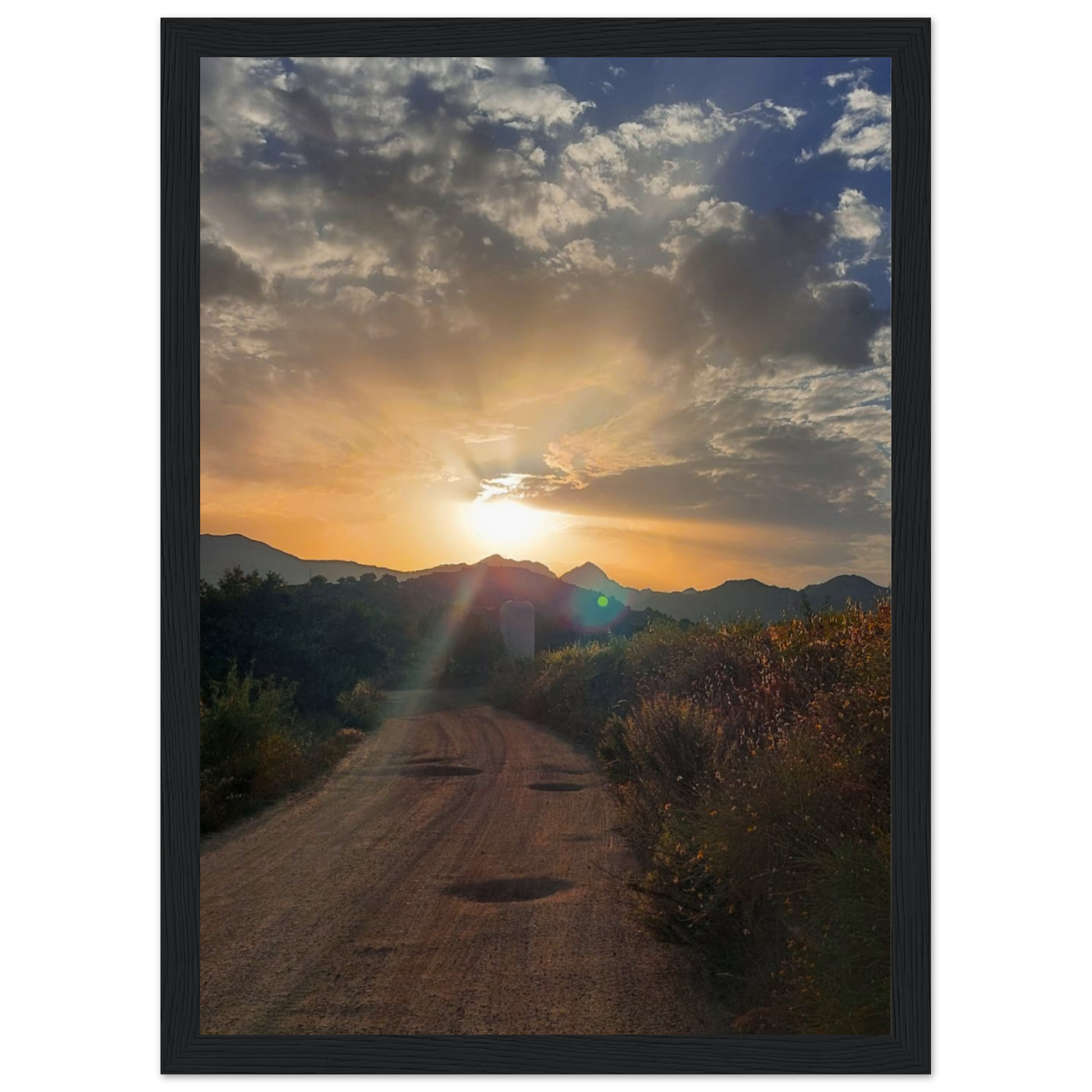 a0d88fba-79cc-492b-b279-cacc11bb88fa