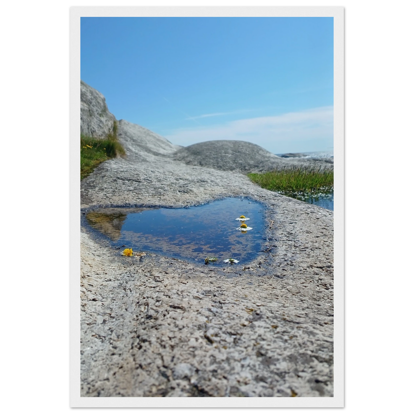 a271b258-6c21-43a2-8b55-665f3af50aed