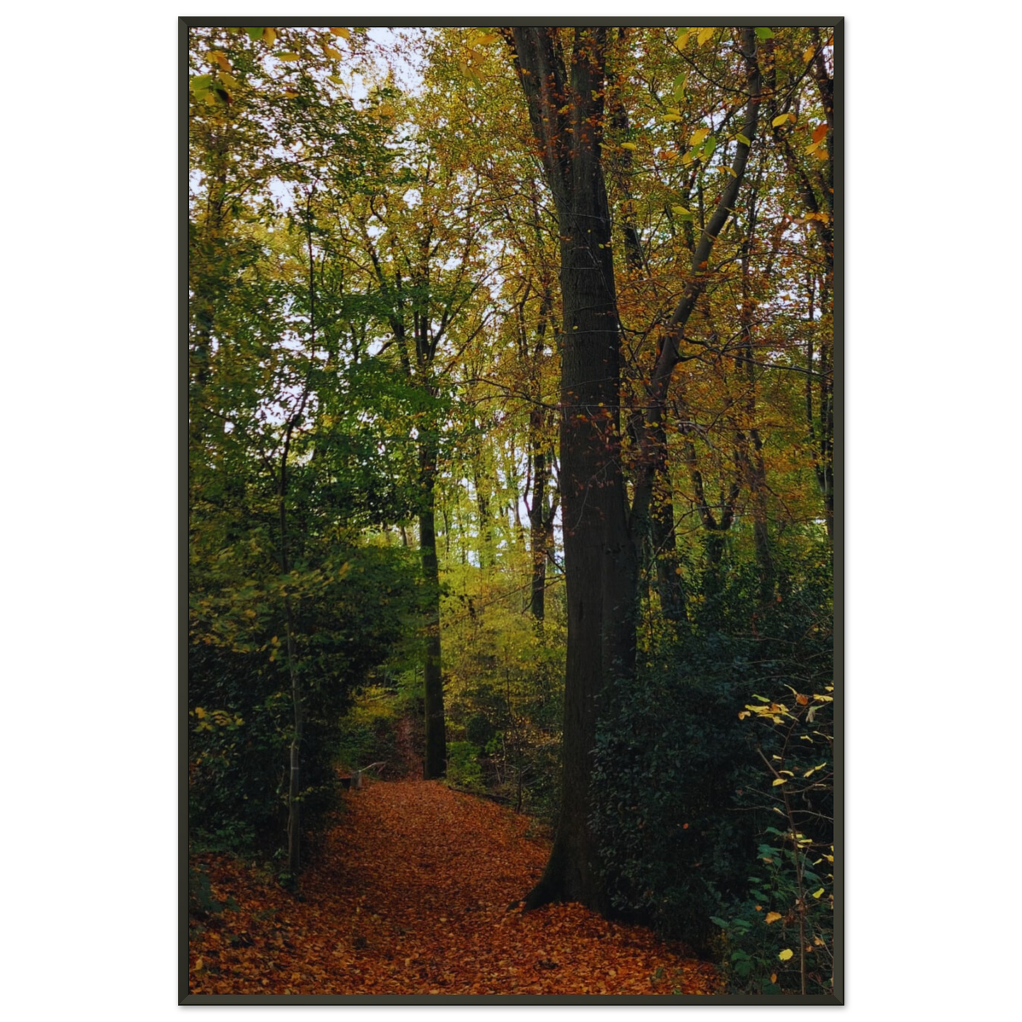 b1027e47-9f4d-454f-899d-9e7ee0d01411