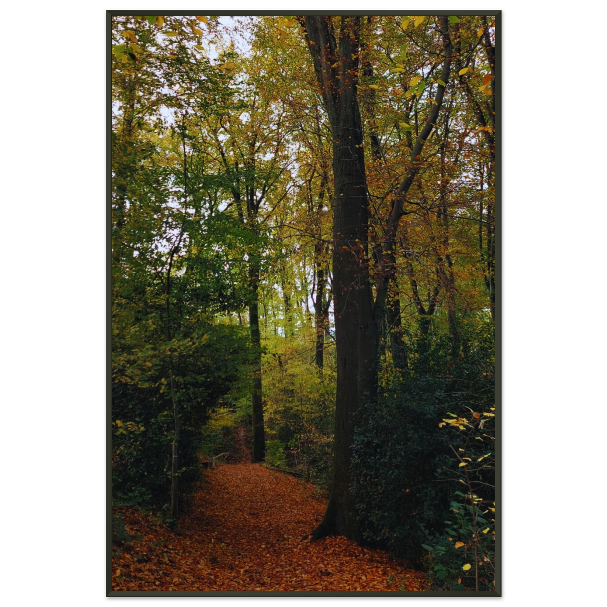 b1027e47-9f4d-454f-899d-9e7ee0d01411