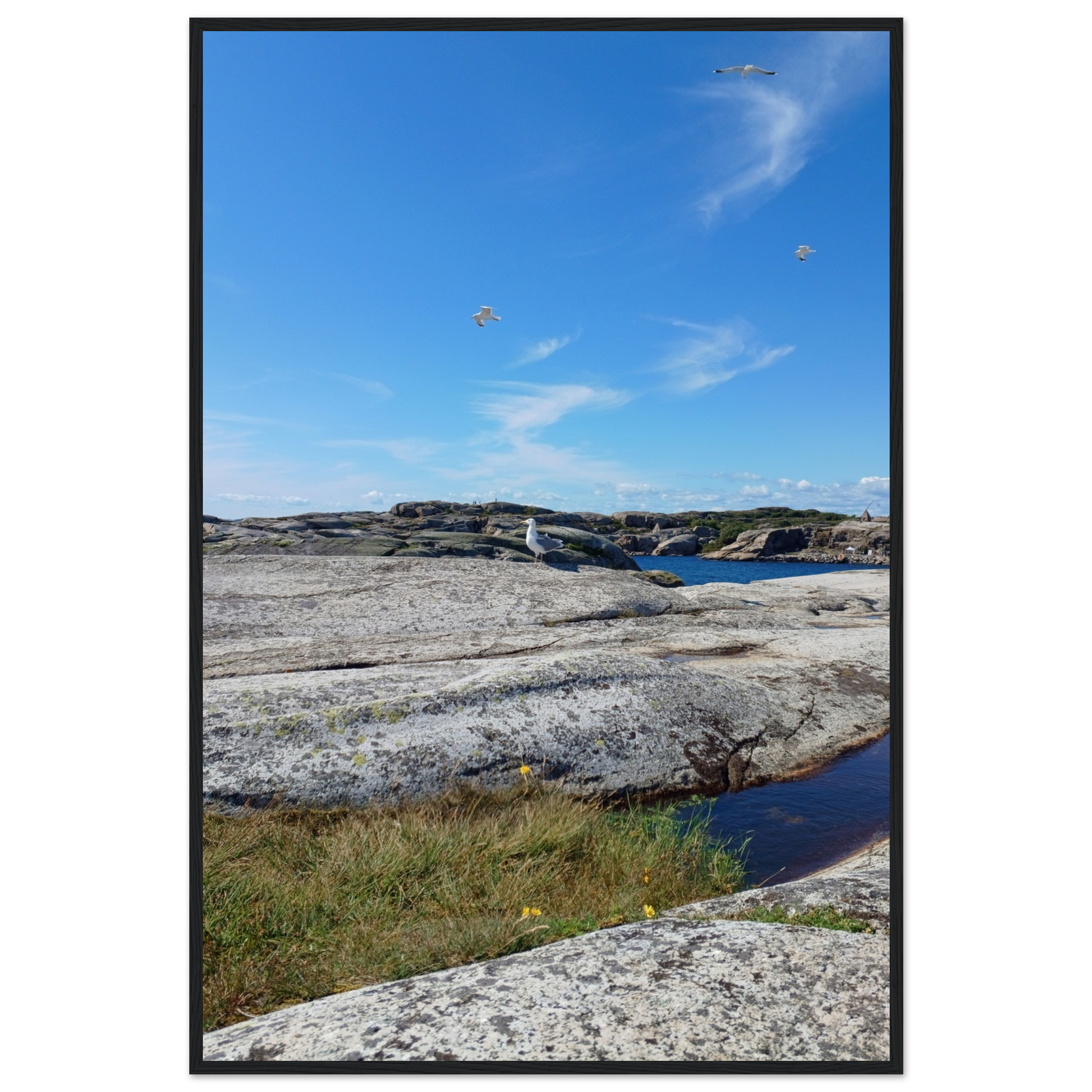 b1ce1907-89b2-478d-b929-37536b334fb0