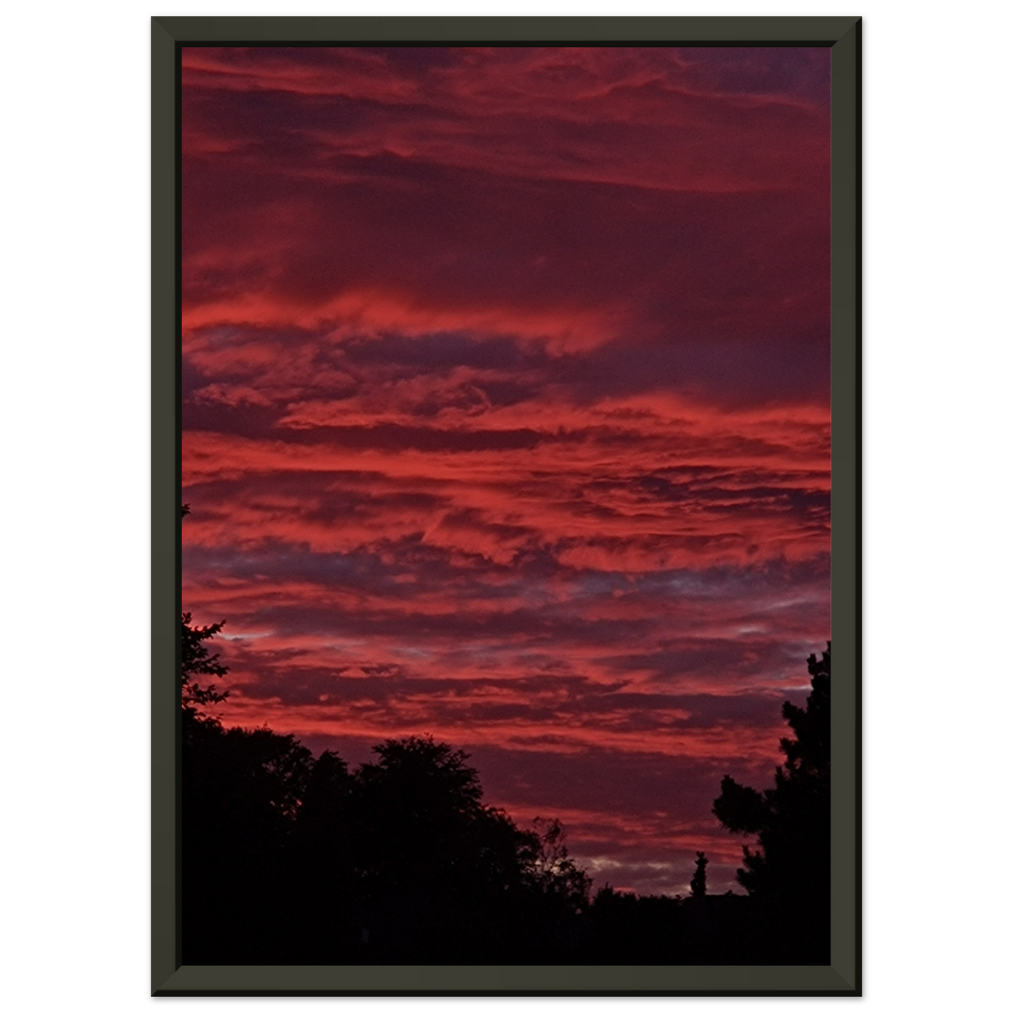 b28099c7-bca0-4e61-acff-39113fbe3a9c