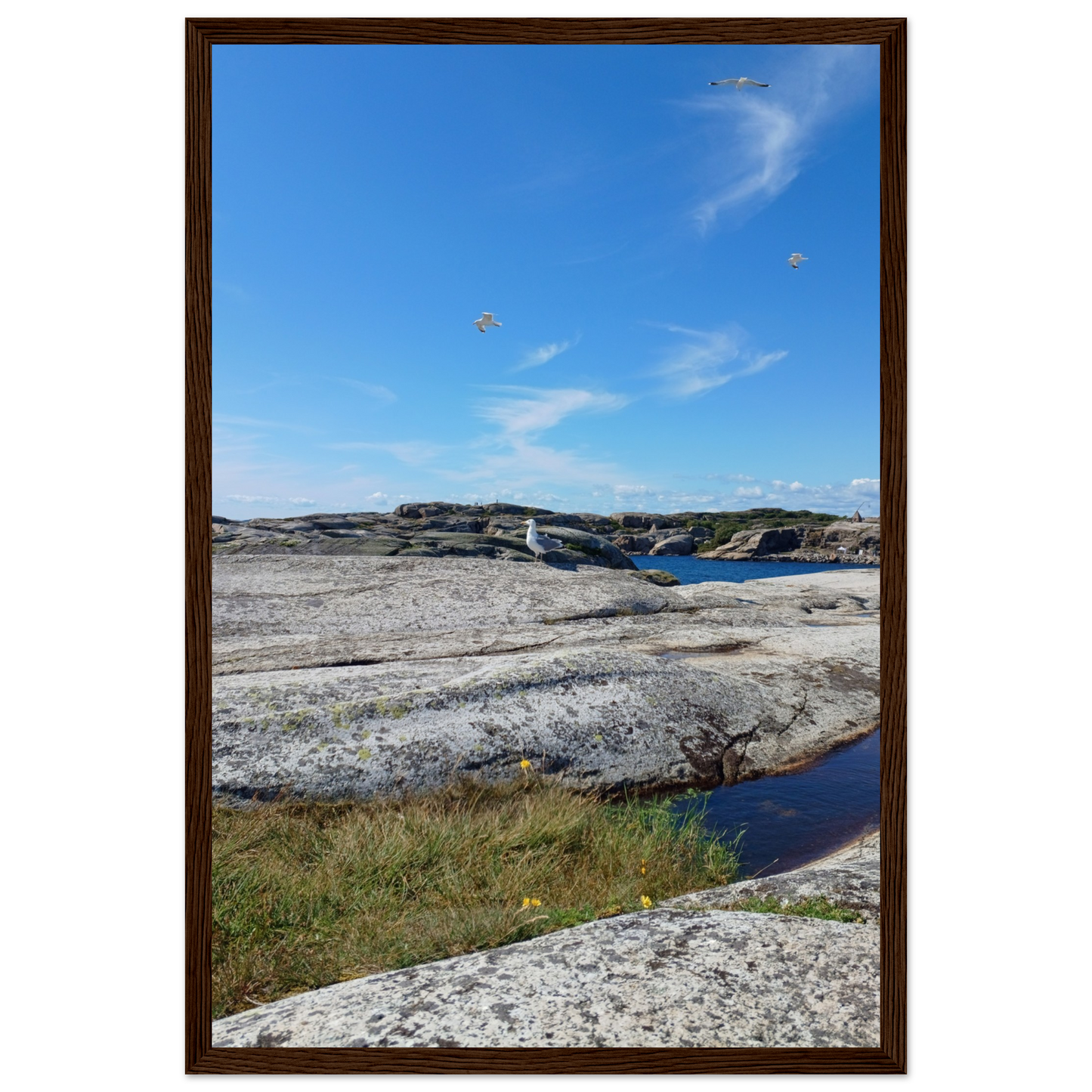 b4928430-c507-4fa1-949f-b596126d779f