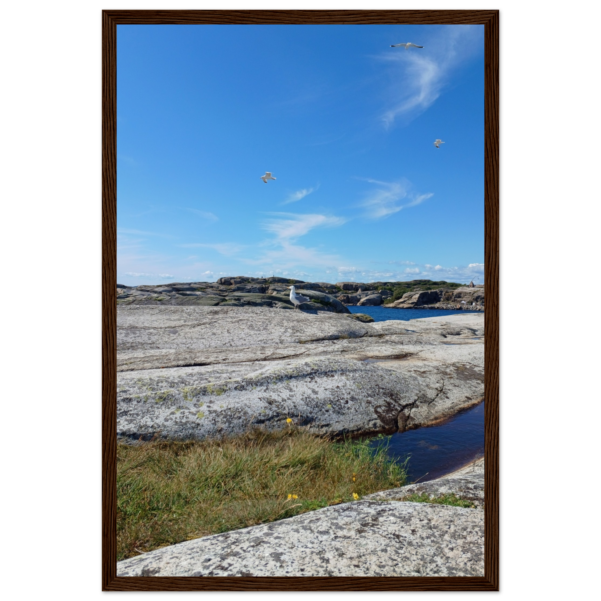 b4928430-c507-4fa1-949f-b596126d779f