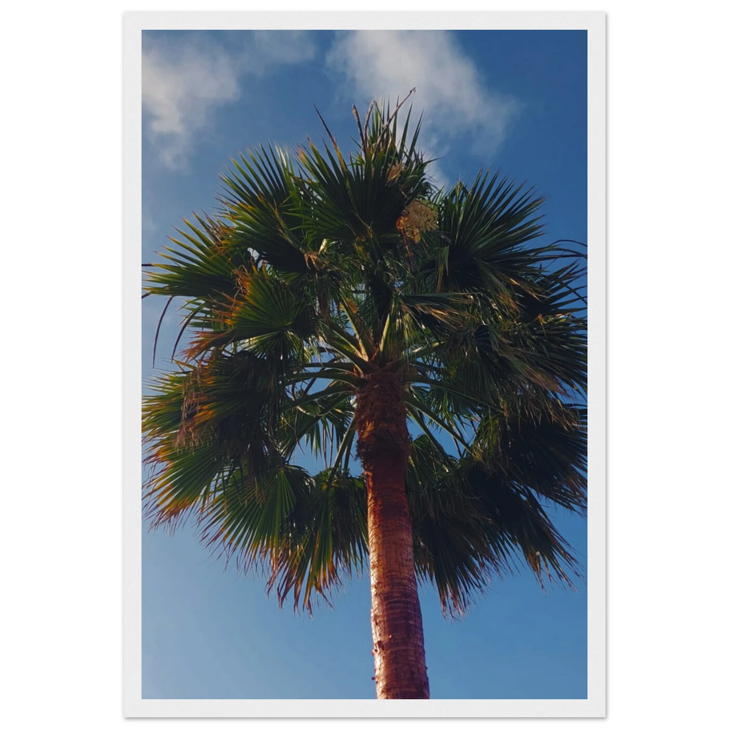 b4a33d58-adbb-437e-b1fa-7be37b14c851