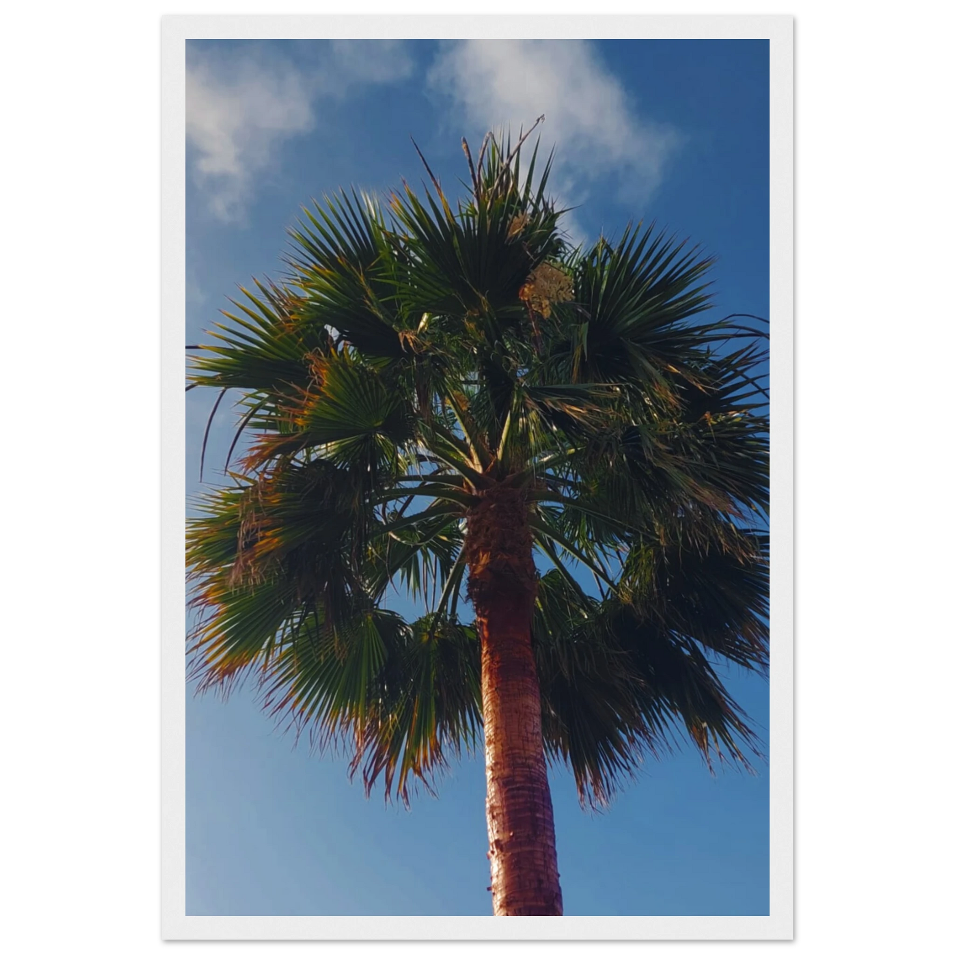 b4a33d58-adbb-437e-b1fa-7be37b14c851