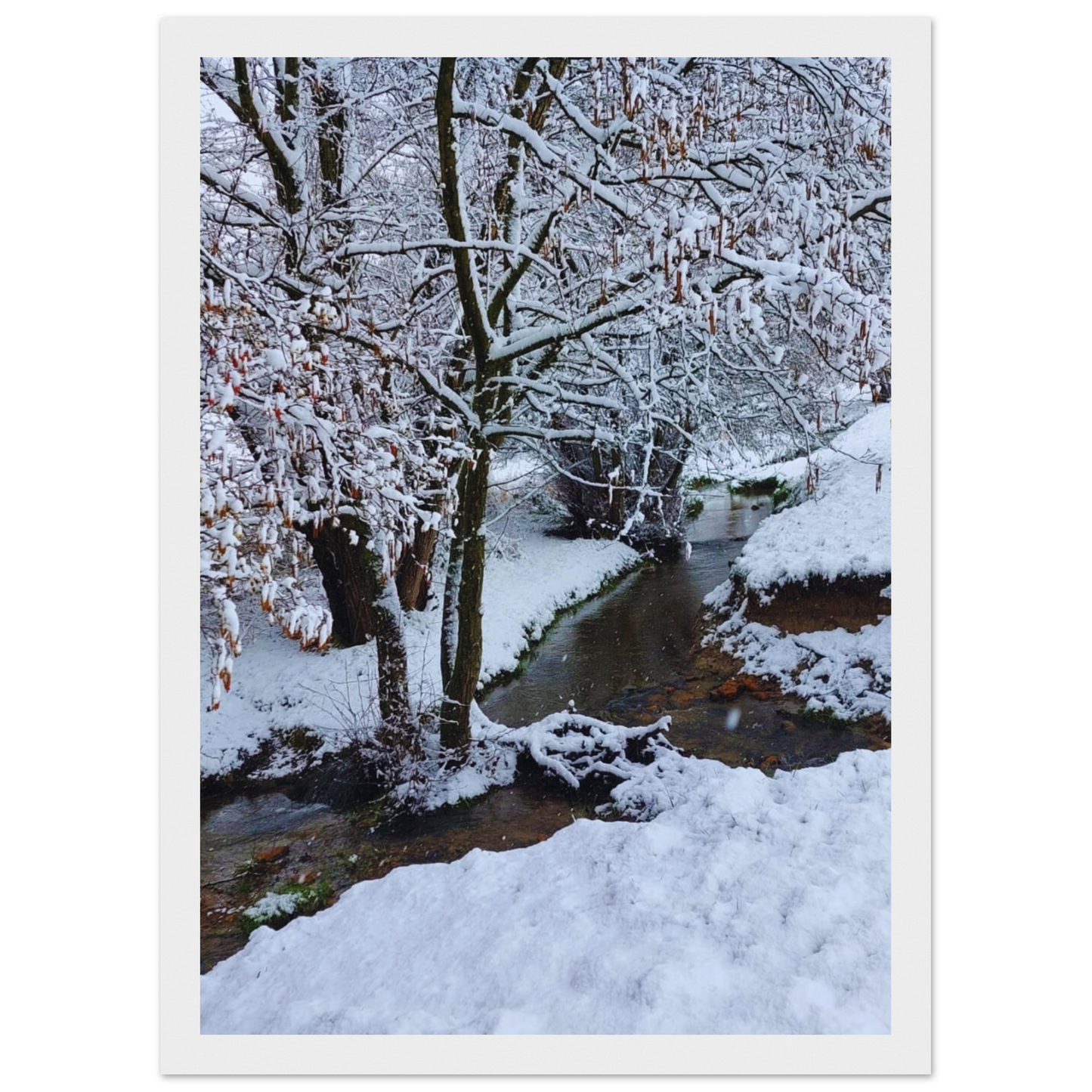 b63b27c5-0e0f-4a31-ab19-bfc1928426a4