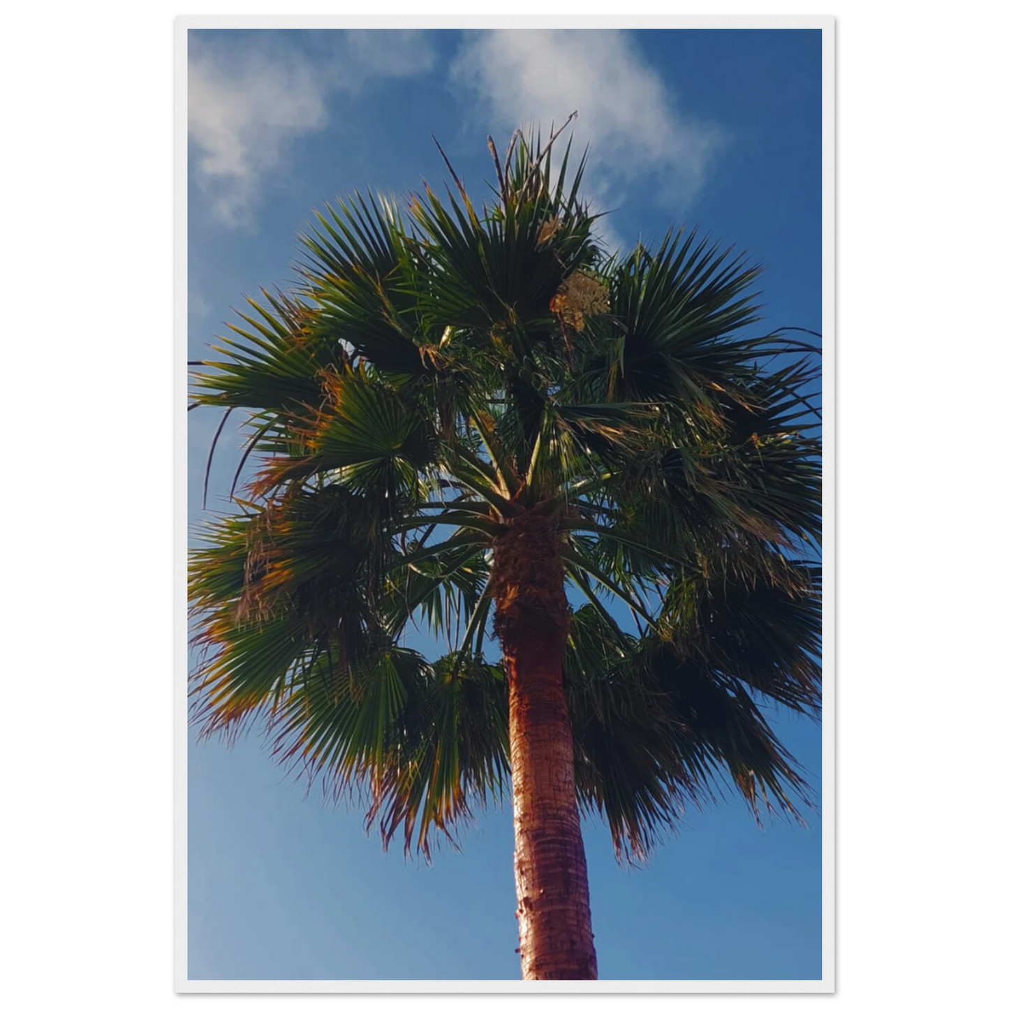 b6cb0af3-de12-43ba-b456-ec52c9bed515