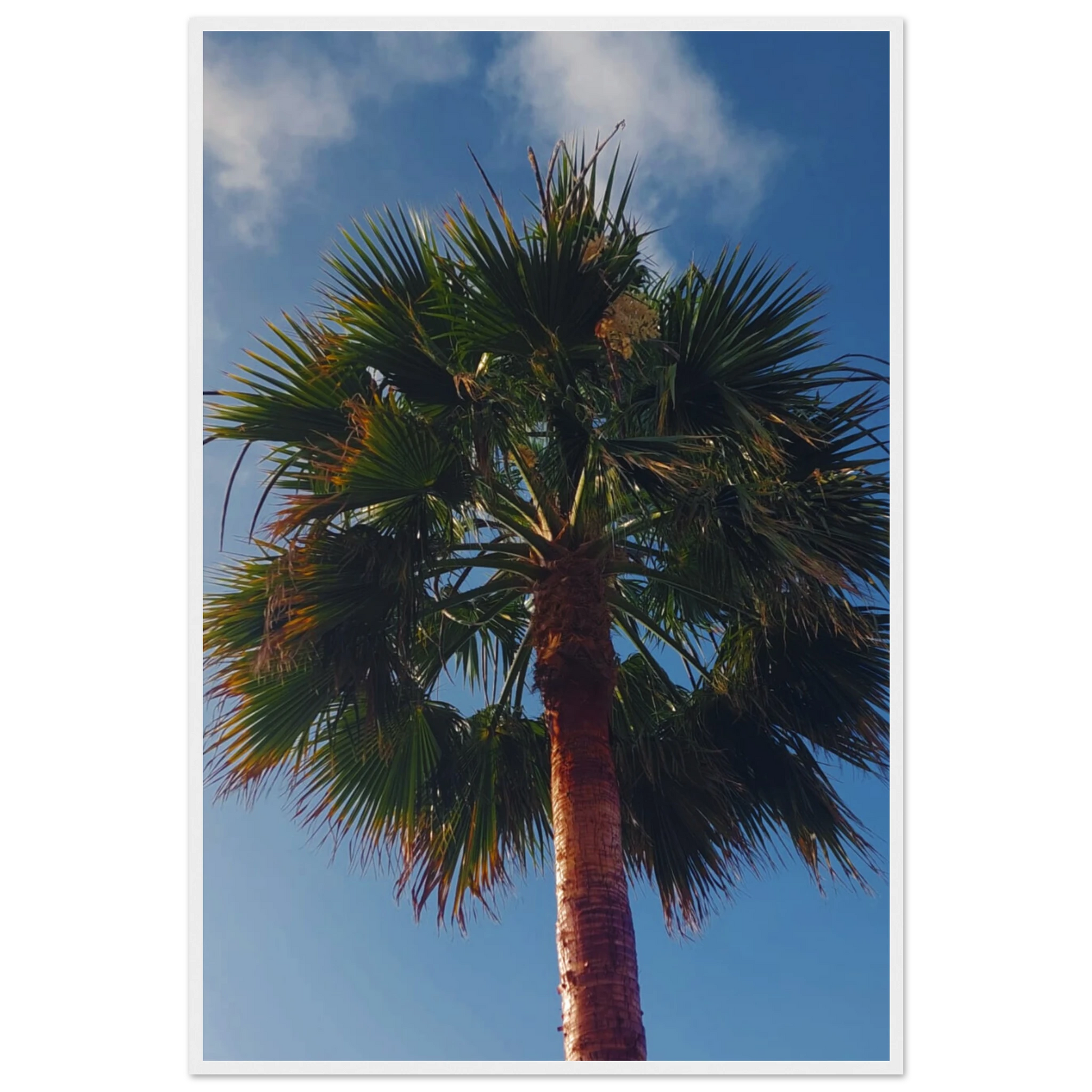 b6cb0af3-de12-43ba-b456-ec52c9bed515