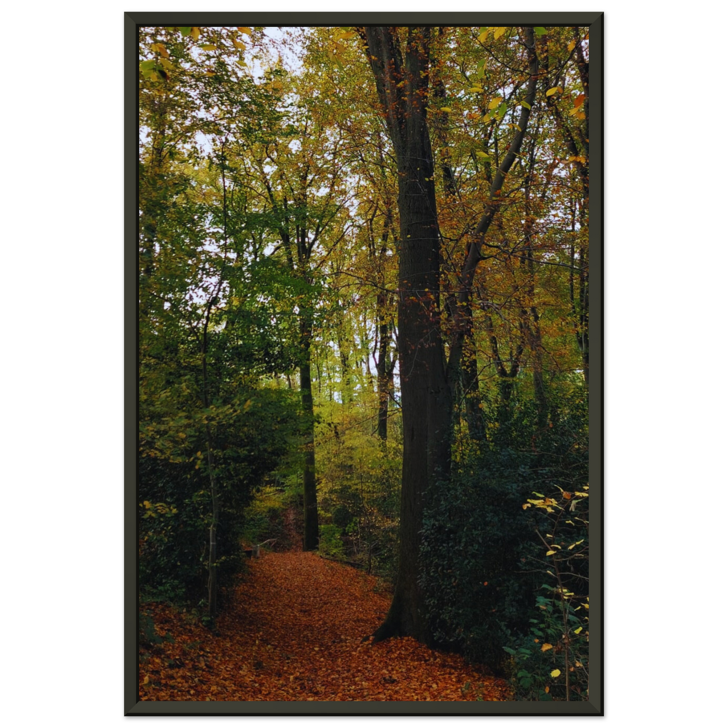 b7f1f5f3-f5e6-4259-8267-1022e4200fc4