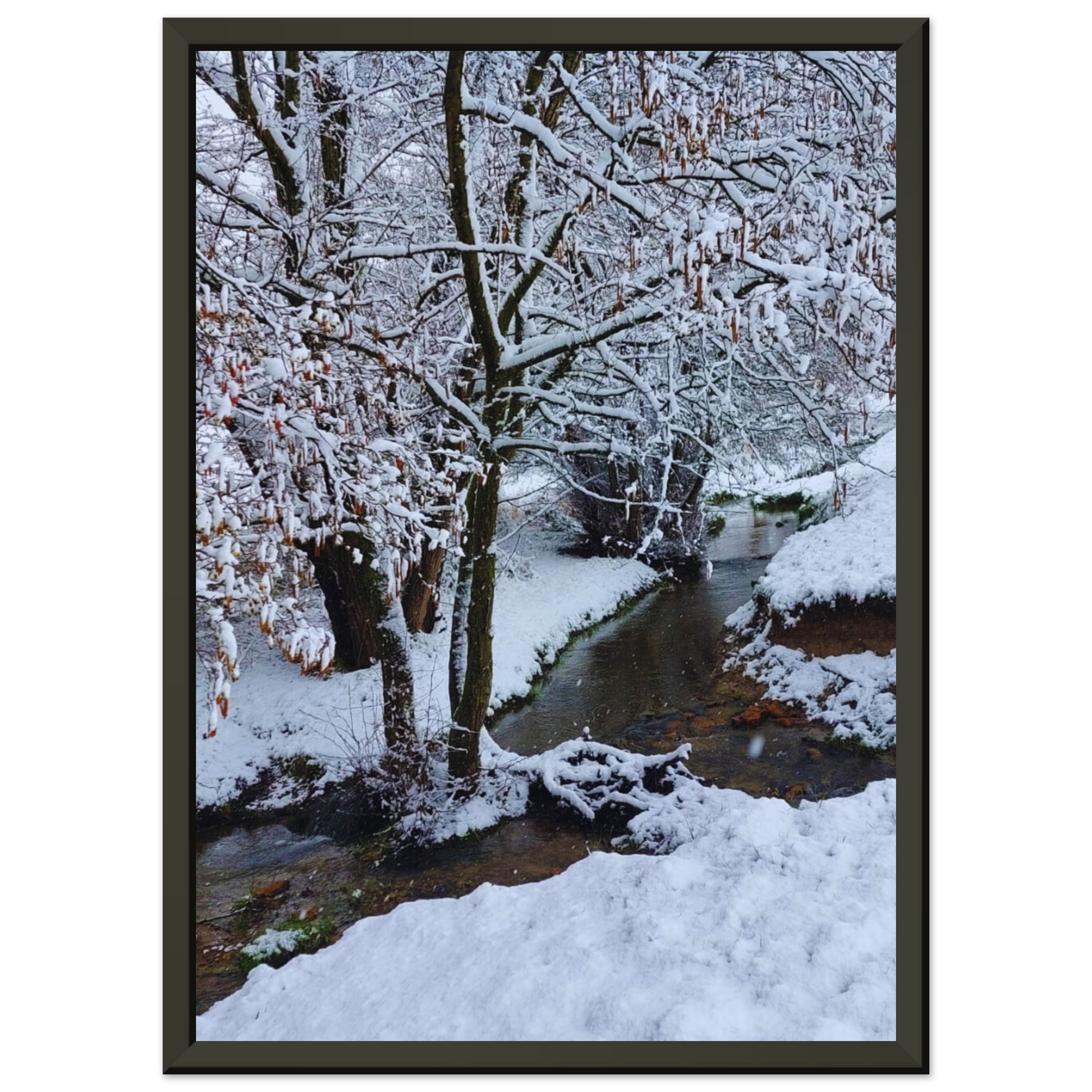 bb6d24e9-76f1-4424-b138-e76b1d4760a4