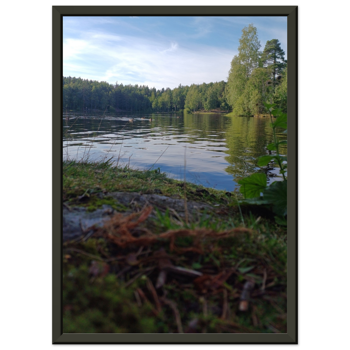 bc0c7ae6-6a68-4581-af71-3b3b96221ead