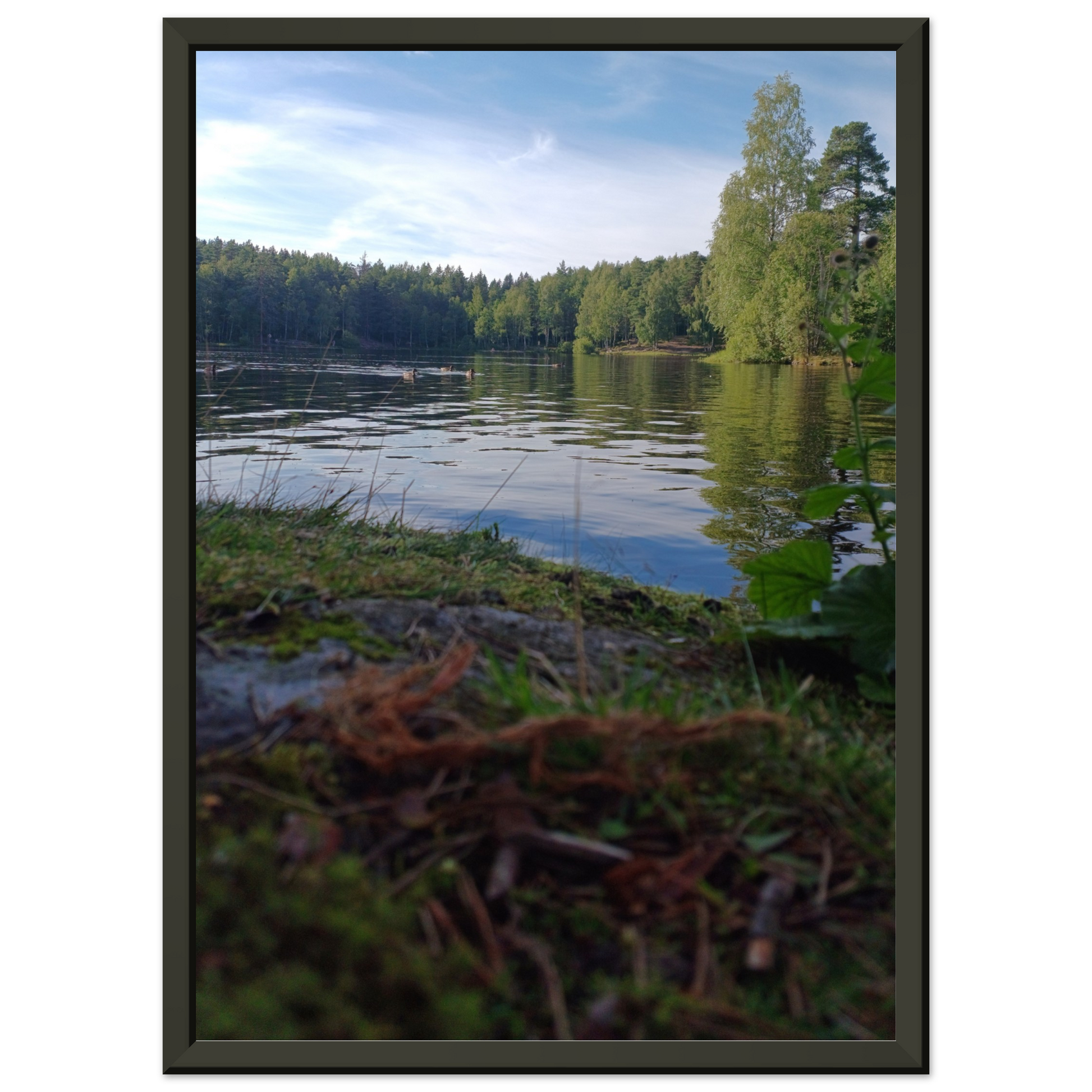 bc0c7ae6-6a68-4581-af71-3b3b96221ead