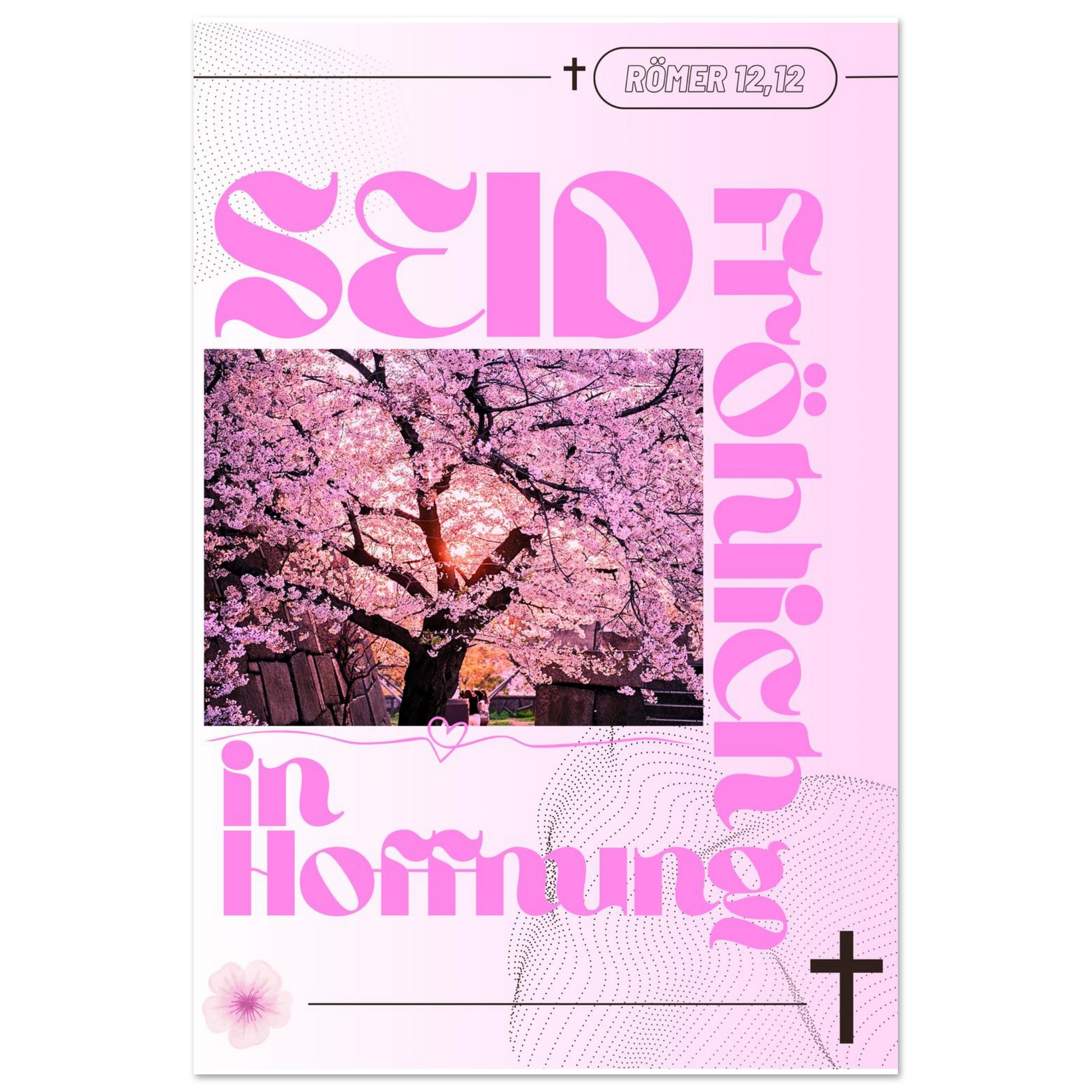 be74a85d-48e1-48f3-b6d9-8e9645cbbd1e