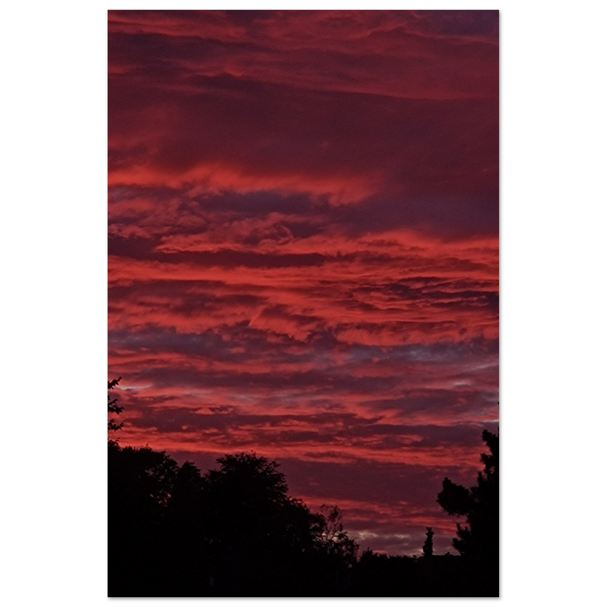 c135e78e-ad87-46a2-891e-d3aa35b30330