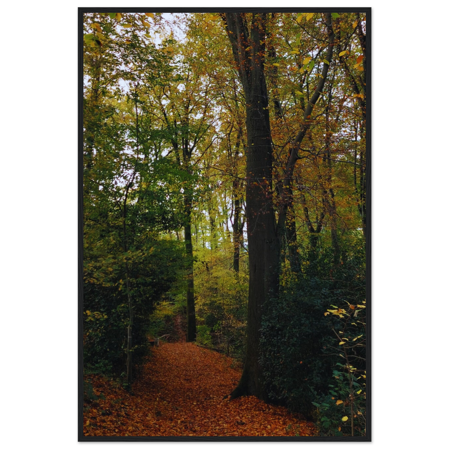 c26c560a-0a56-448e-b1fa-77c41f12516a